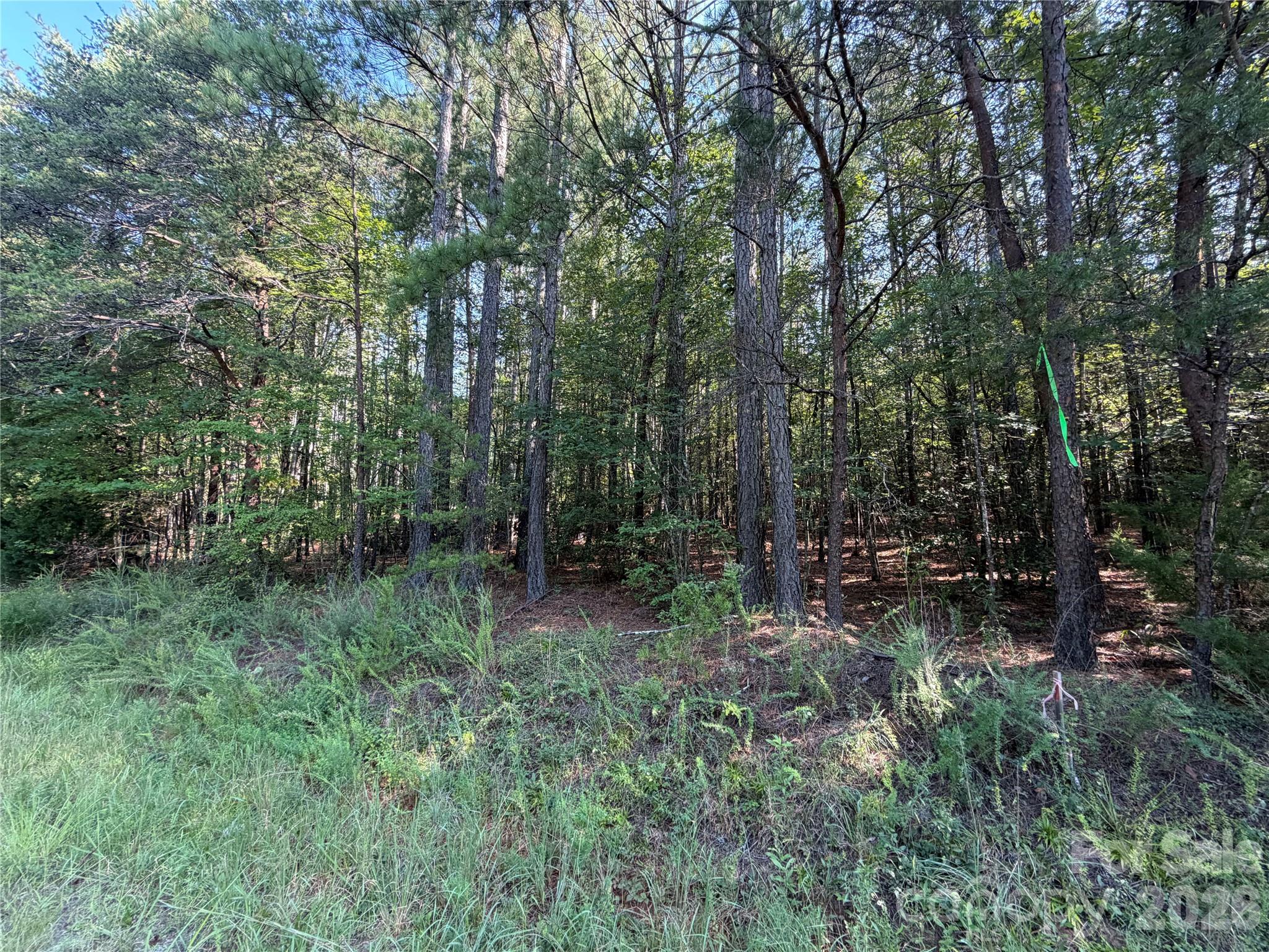 175 Old Morganton Road