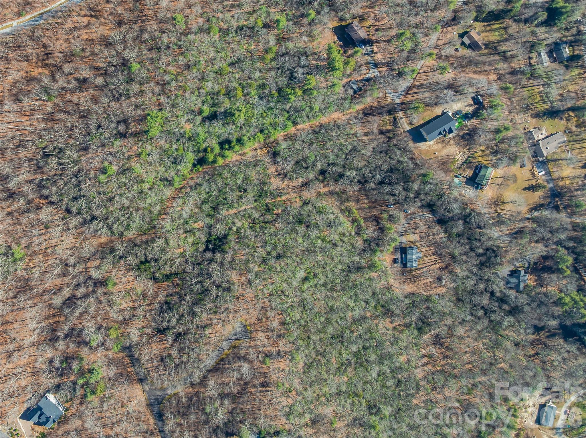 Photo 1 of 20 — 9999 Coy-Evie Lane, Laurel Park, NC 28739