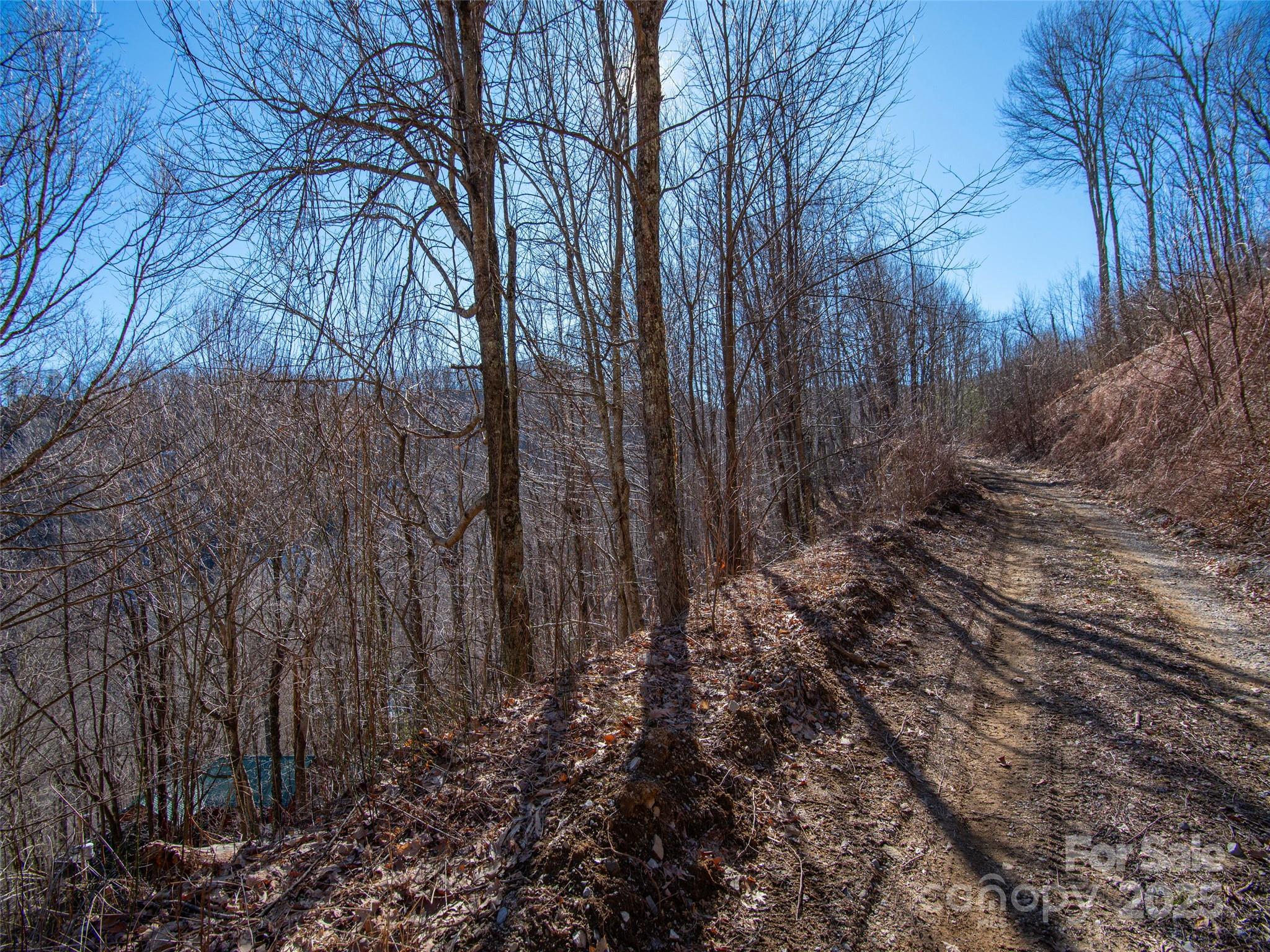 00 Long Branch Road