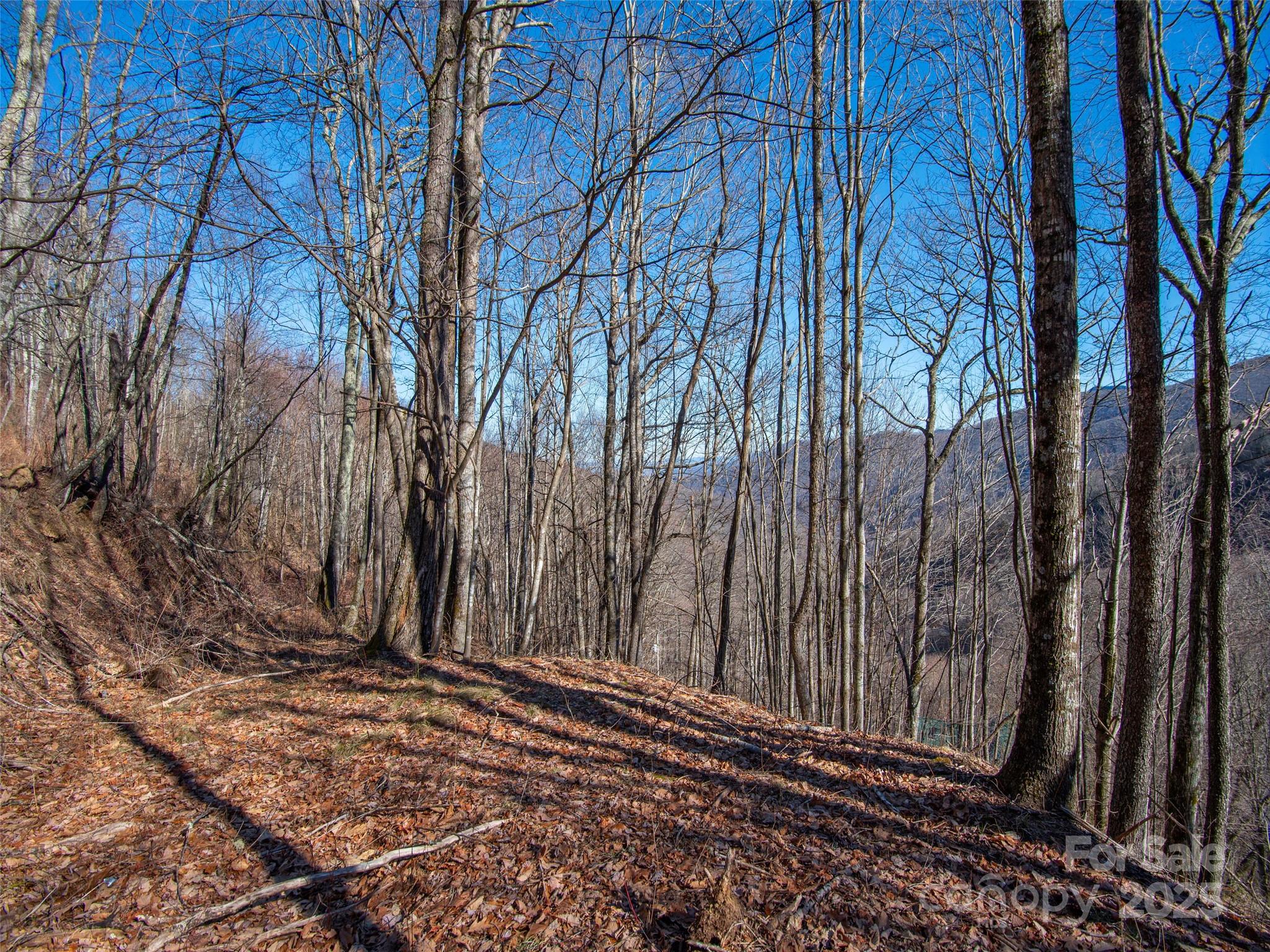 00 Long Branch Road