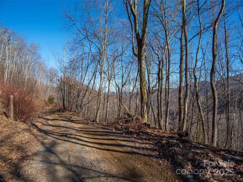 00 Long Branch Road Maggie Valley NC 28751