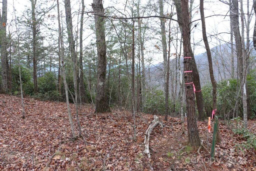 Shumont Estates - Land