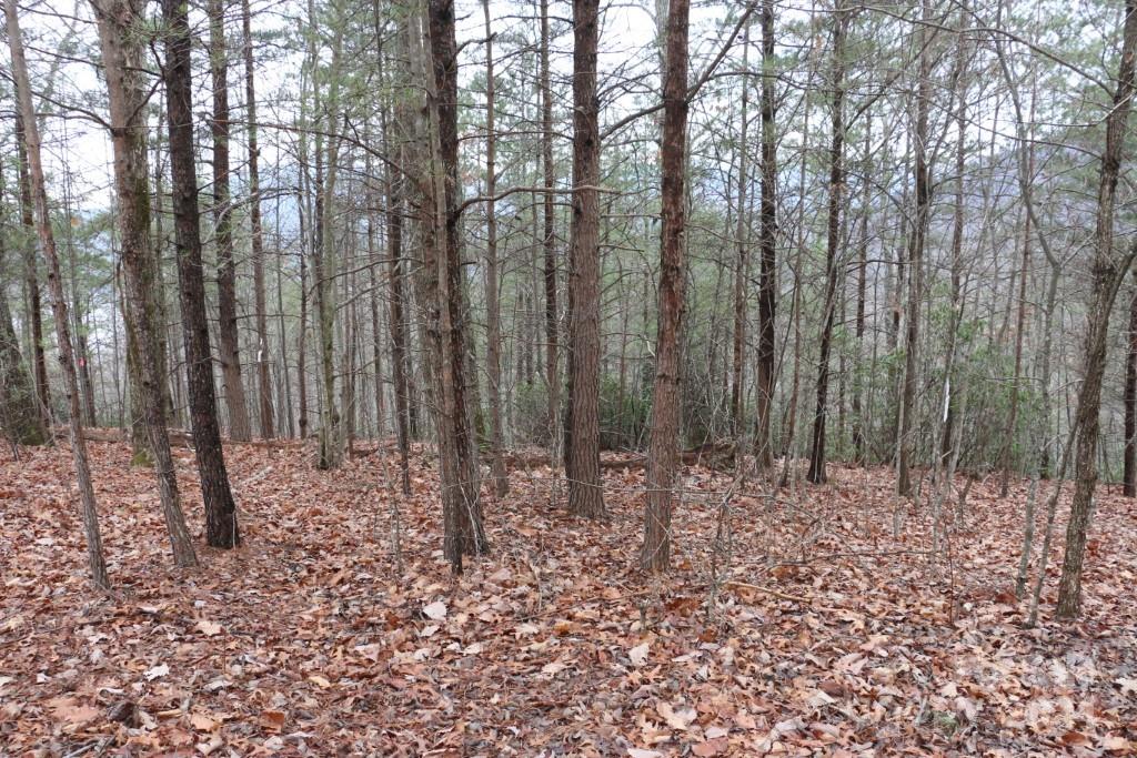 Shumont Estates - Land