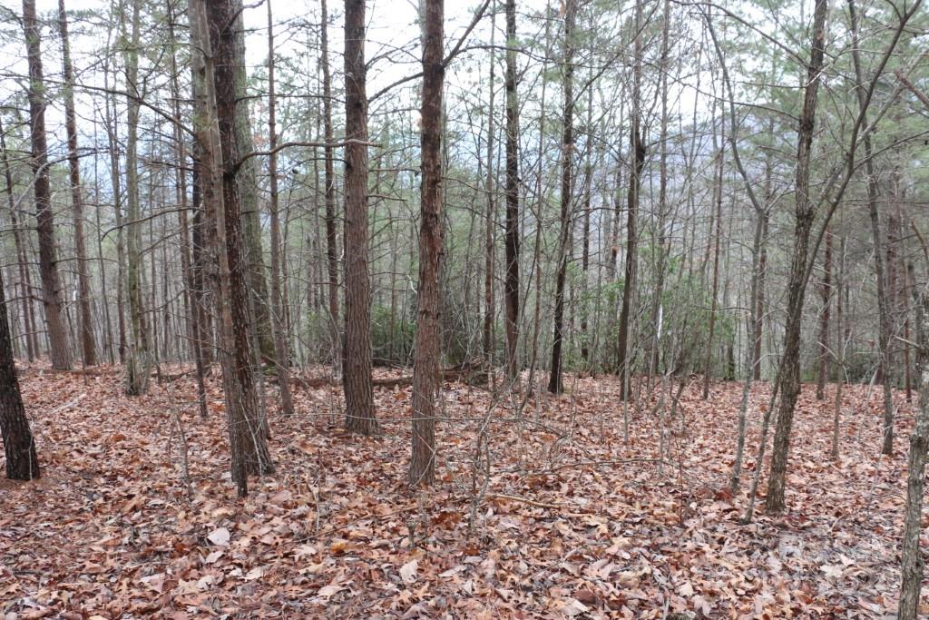 Shumont Estates - Land