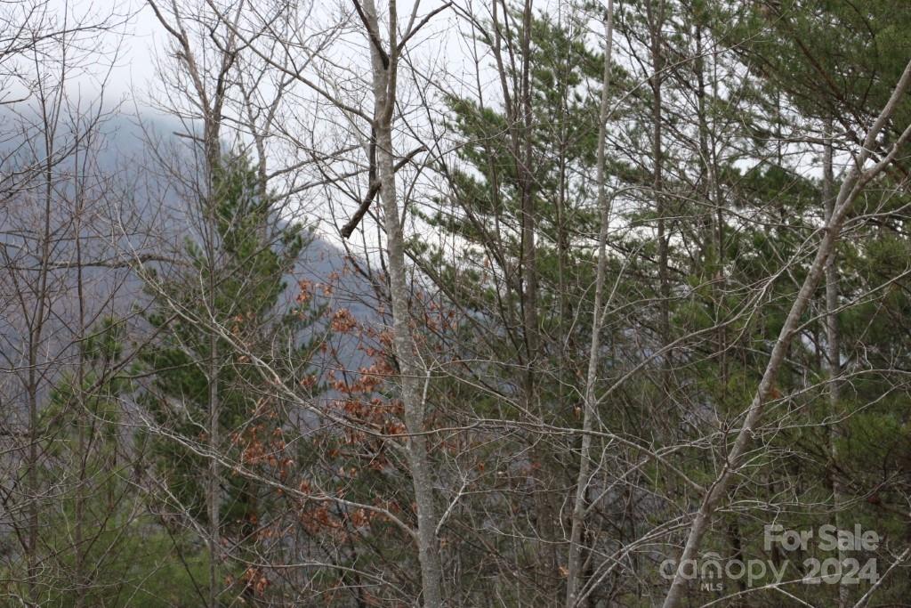 Shumont Estates - Land