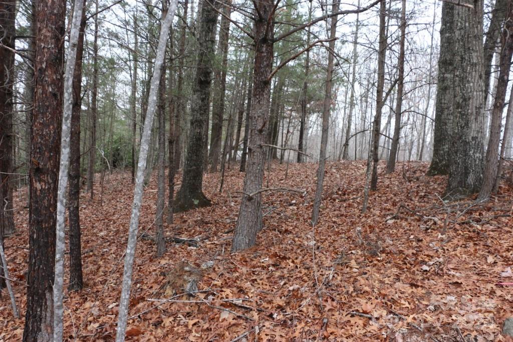 Shumont Estates - Land