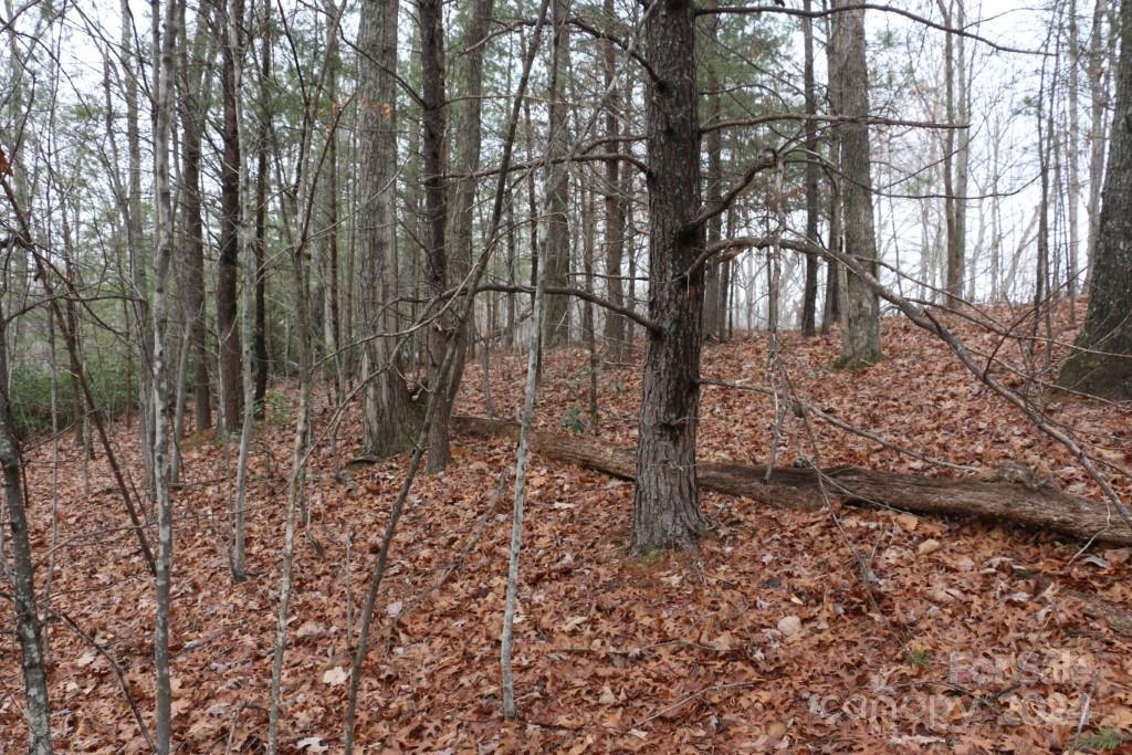 Shumont Estates - Land