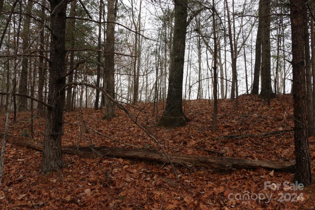 Shumont Estates - Land