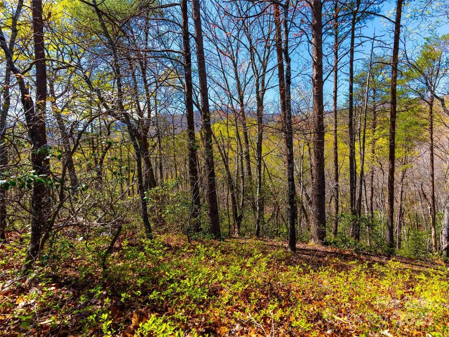 This lot features a gentle slope and potential long range mountain views once cleared. Convenient location with only a short drive to the Club/Amenities. Bright’s Creek is a picturesque gated community with paved roads, fiber optic, water, sewer, & natural gas. Community offers 24 hour staffed greeters cottage and many scenic walking trails including a waterfall trail. The Club at Bright's Creek offers a 19 hole Tom Fazio championship golf course, tennis/pickleball, and mountain lodge with restaurant and bar. New Amenity area features an outdoor heated saline pool, two lane bowling, fitness center, casual dining, and many beautiful gathering spaces.