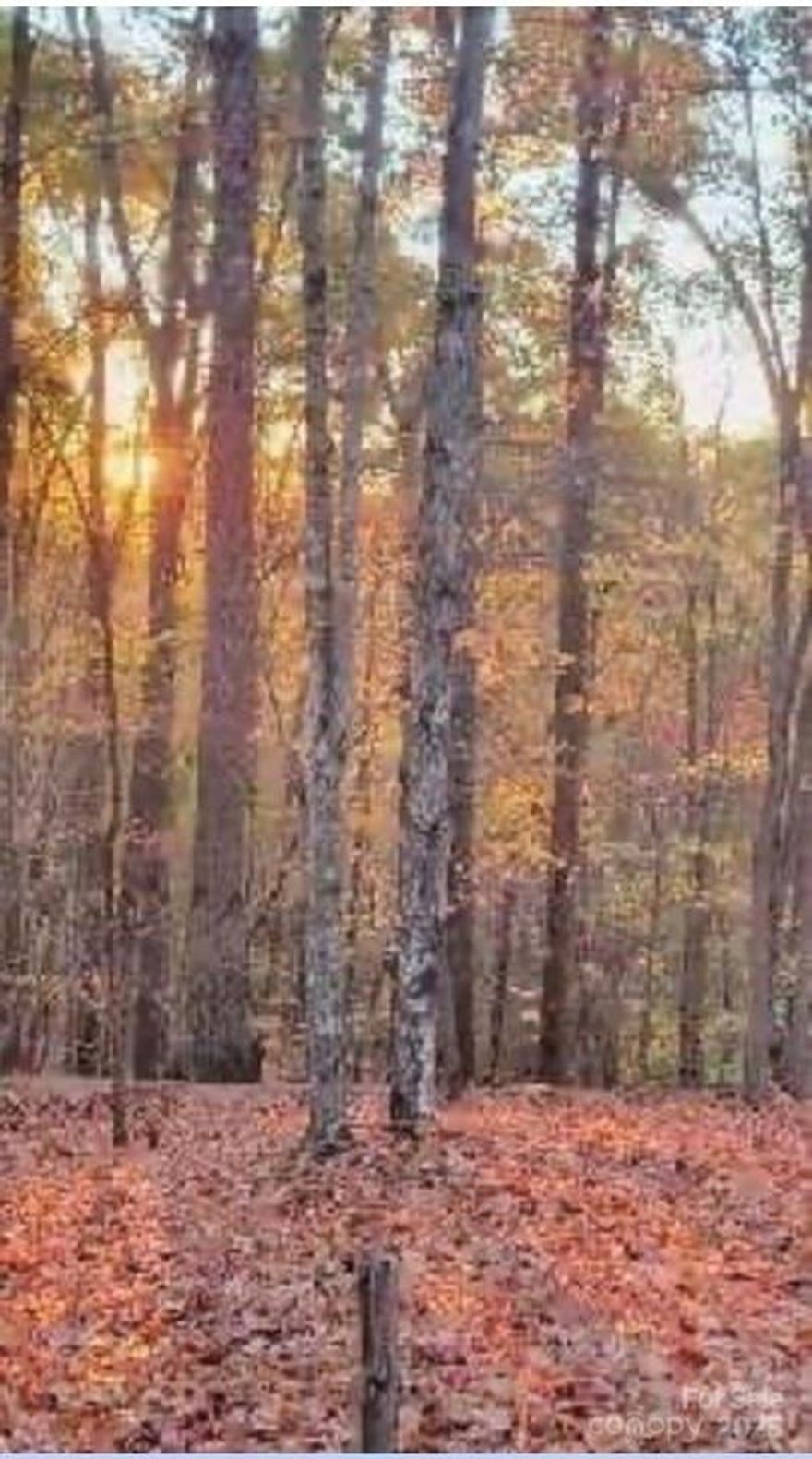 Amazing lot in quiet, convenient, low-density Blackberry Creek subdivision in eastern McDowell. Lot has a gentle  slope! At 3.4 +/- acres, you'll have plenty of room to build your forever home, create a garden, build a pool - whatever your heart desires.   The entry from the gate into this lot is partly paved and partly gravel.  Lovely gated community with underground utilities, within minutes to I-40, Lake James, and the beautiful South Mountains. From here, you can participate in all the nature, arts & crafts, and social amenities of this great area. It's just an hour and a half to Charlotte/airport, an hour to popular Asheville and that airport, and about 20 minutes to either charming, historic and growing towns of Marion and Morganton. Blackberry Creek is a gated community so must be shown by a realtor with appointment.  Gate access is required.