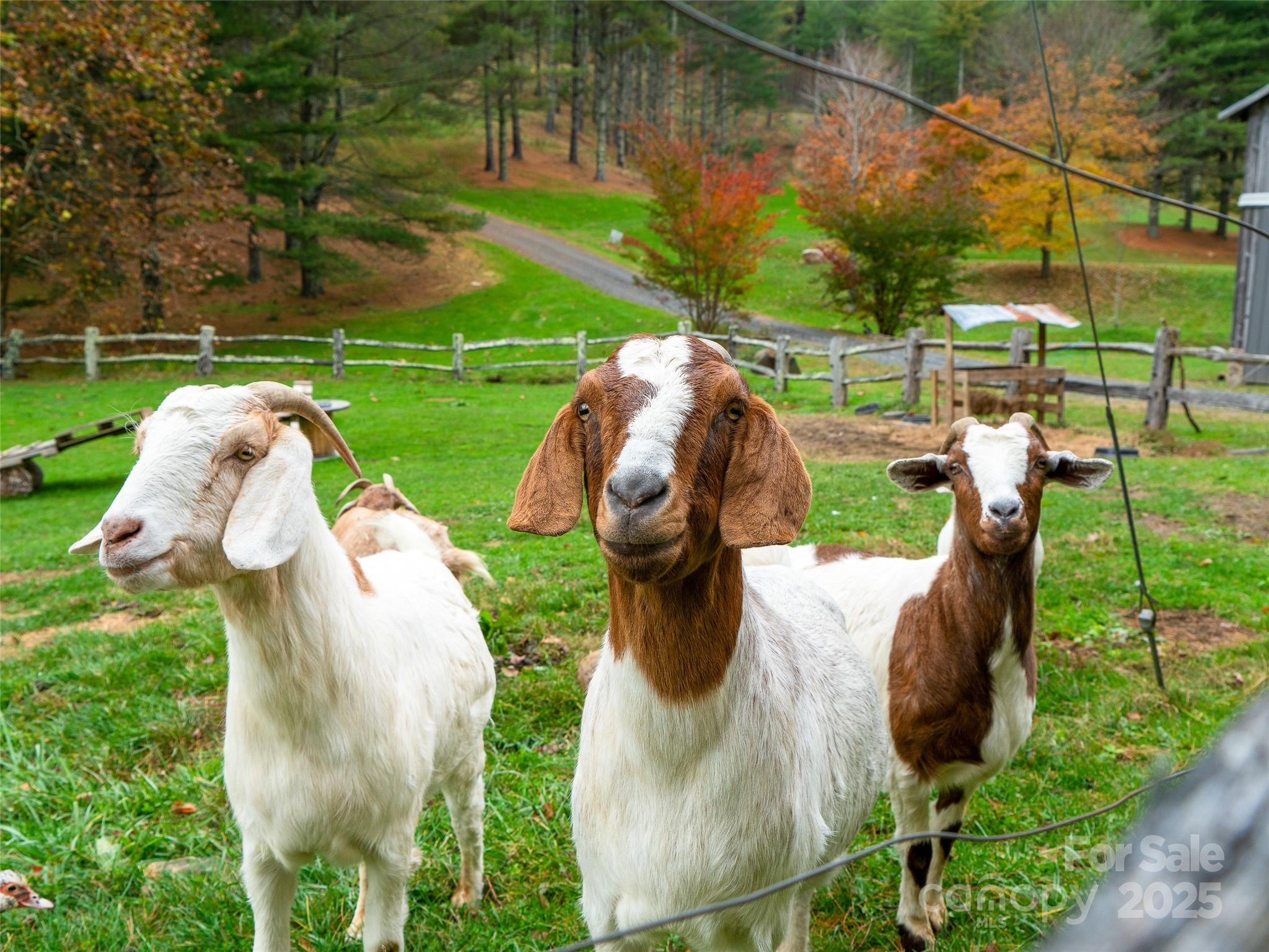 Beech Creek Estates - Residential