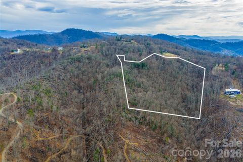 Photo of 99999 Elk Mountain Scenic Highway #1, Asheville, NC 28804 (MLS # 4341858)