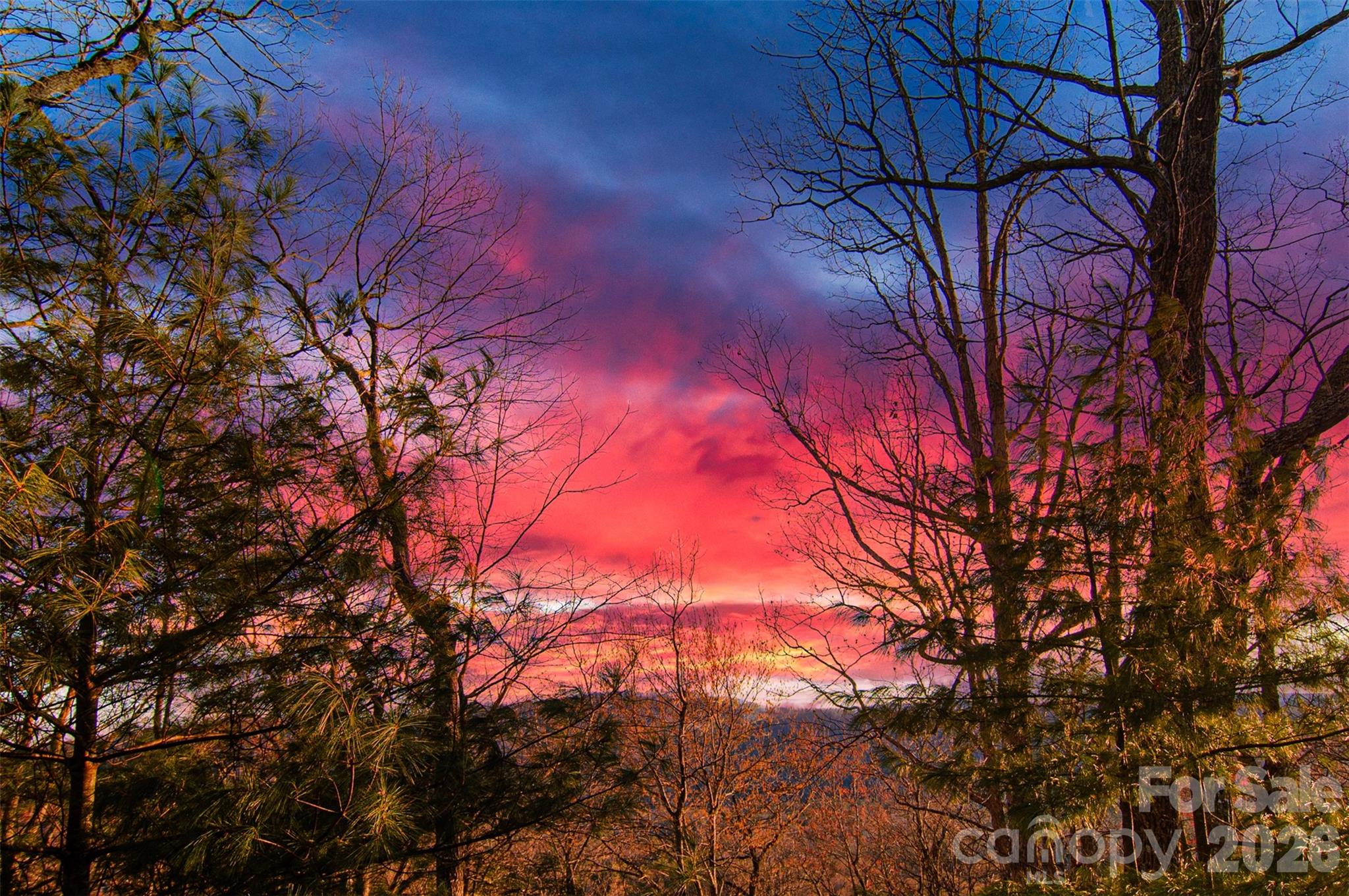 Carriage Park - Residential