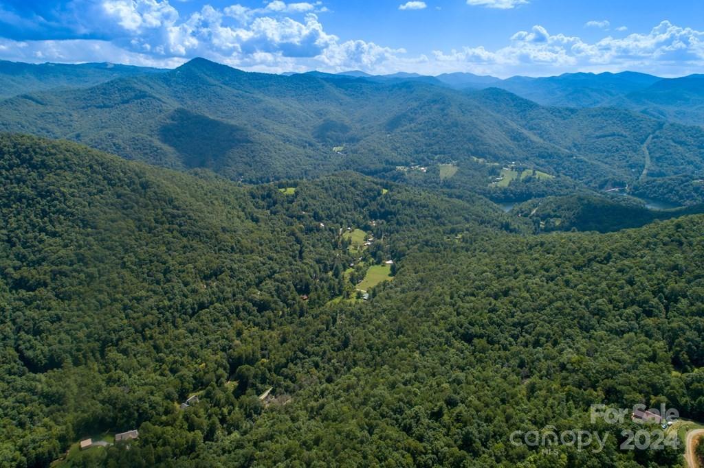 Cedar Creek Farms - Land