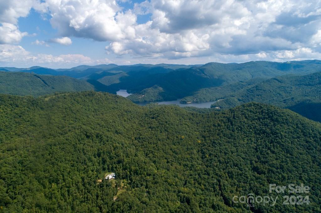 Cedar Creek Farms - Land