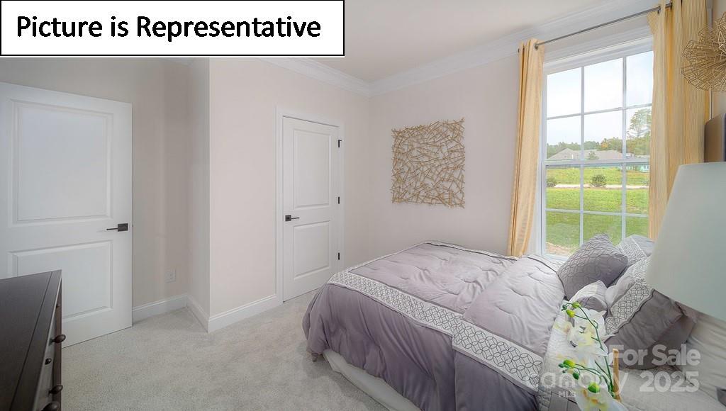 Sylvan Creek - Residential