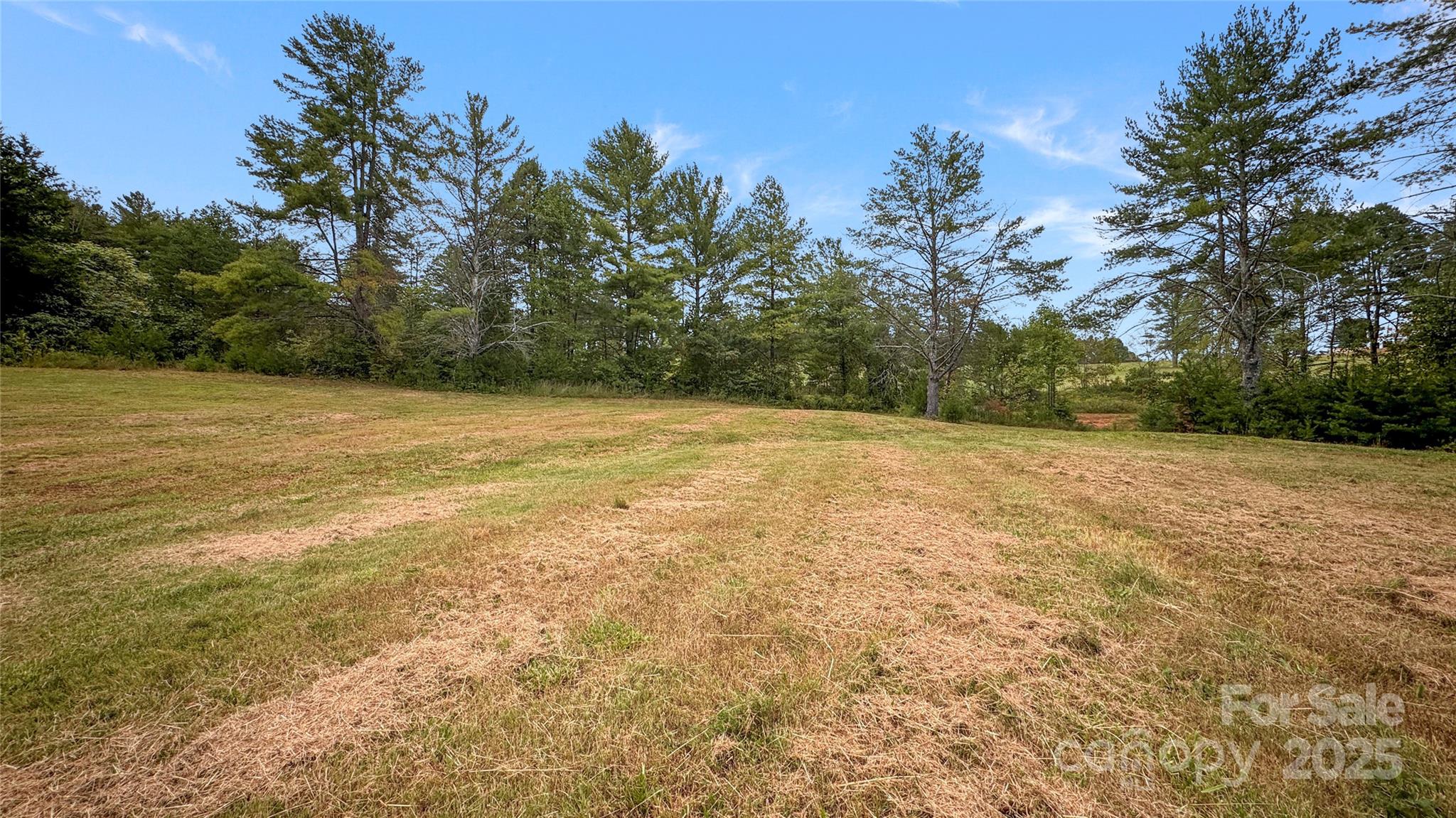 The Coves Mountain River Club - Land