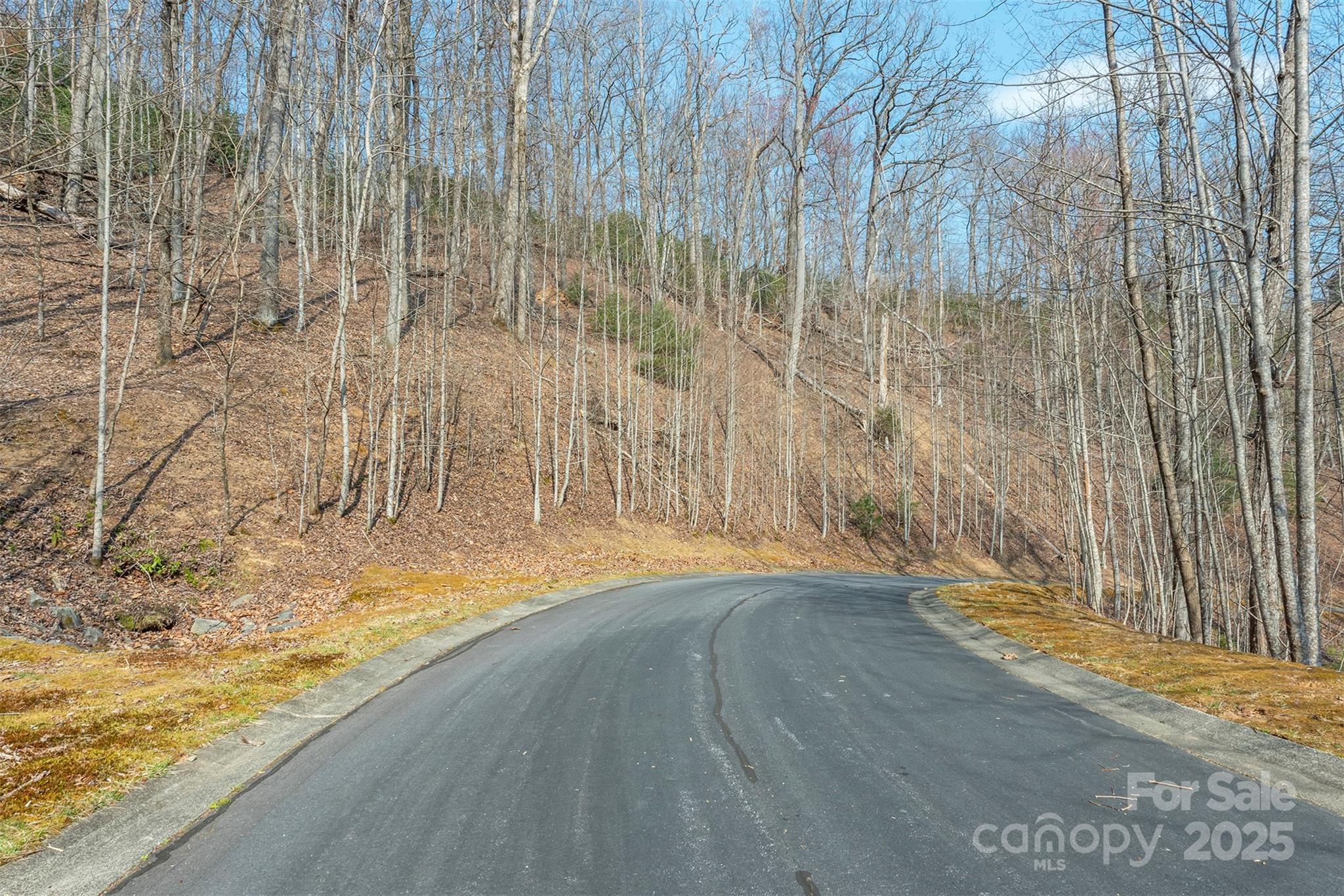 0 Shining Rock Path 11