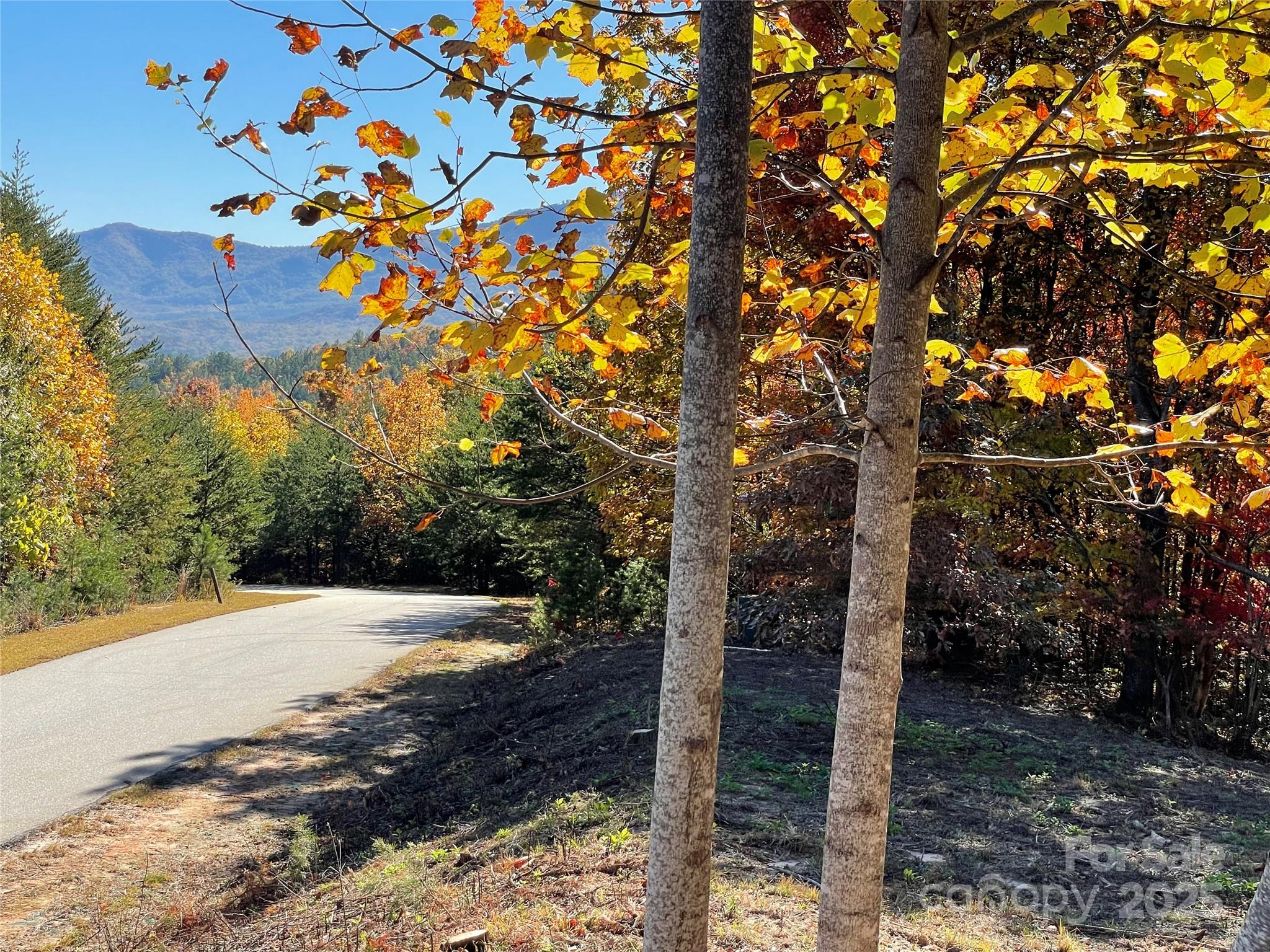 Brights Creek - Residential