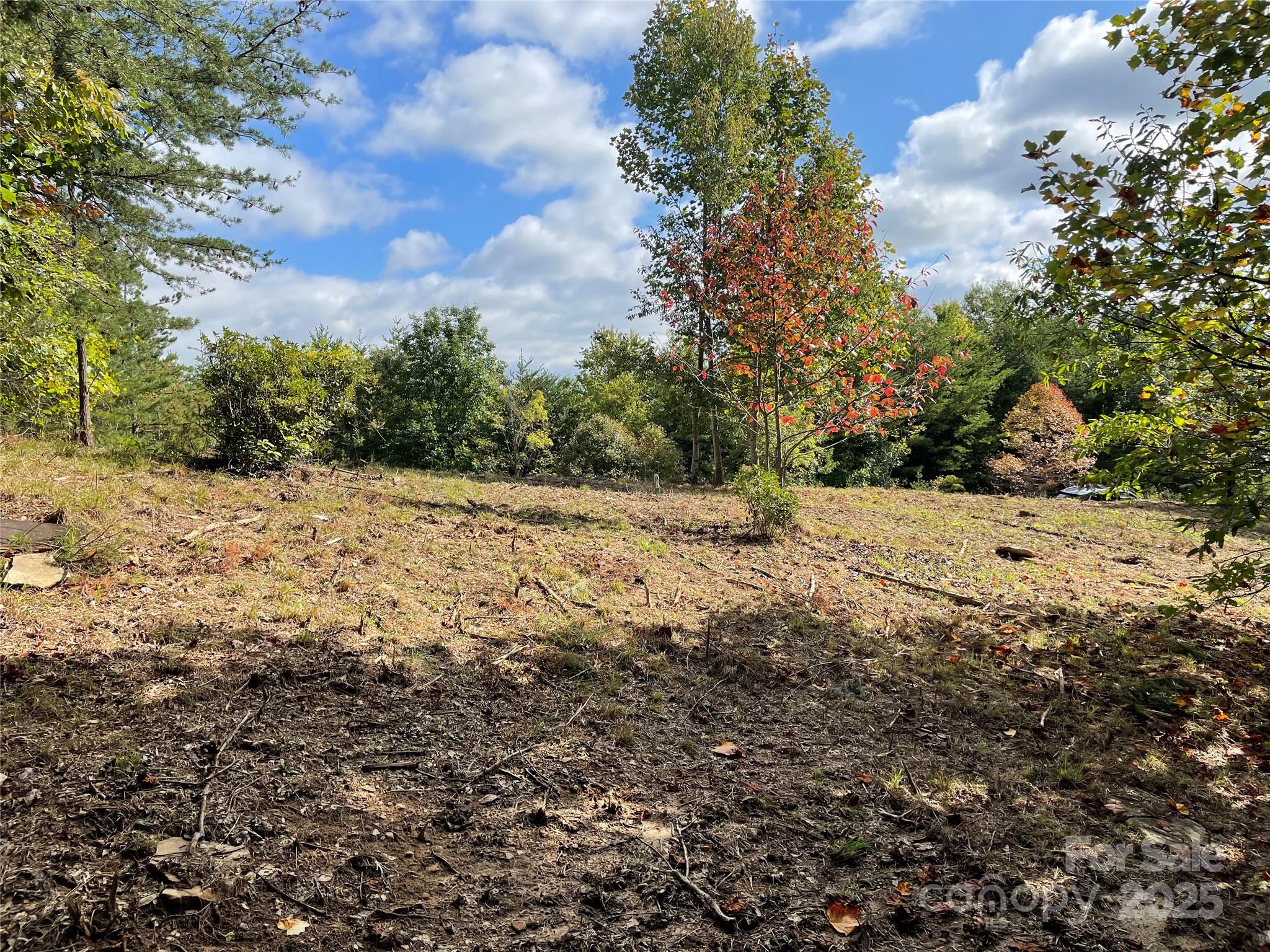 Brights Creek - Residential