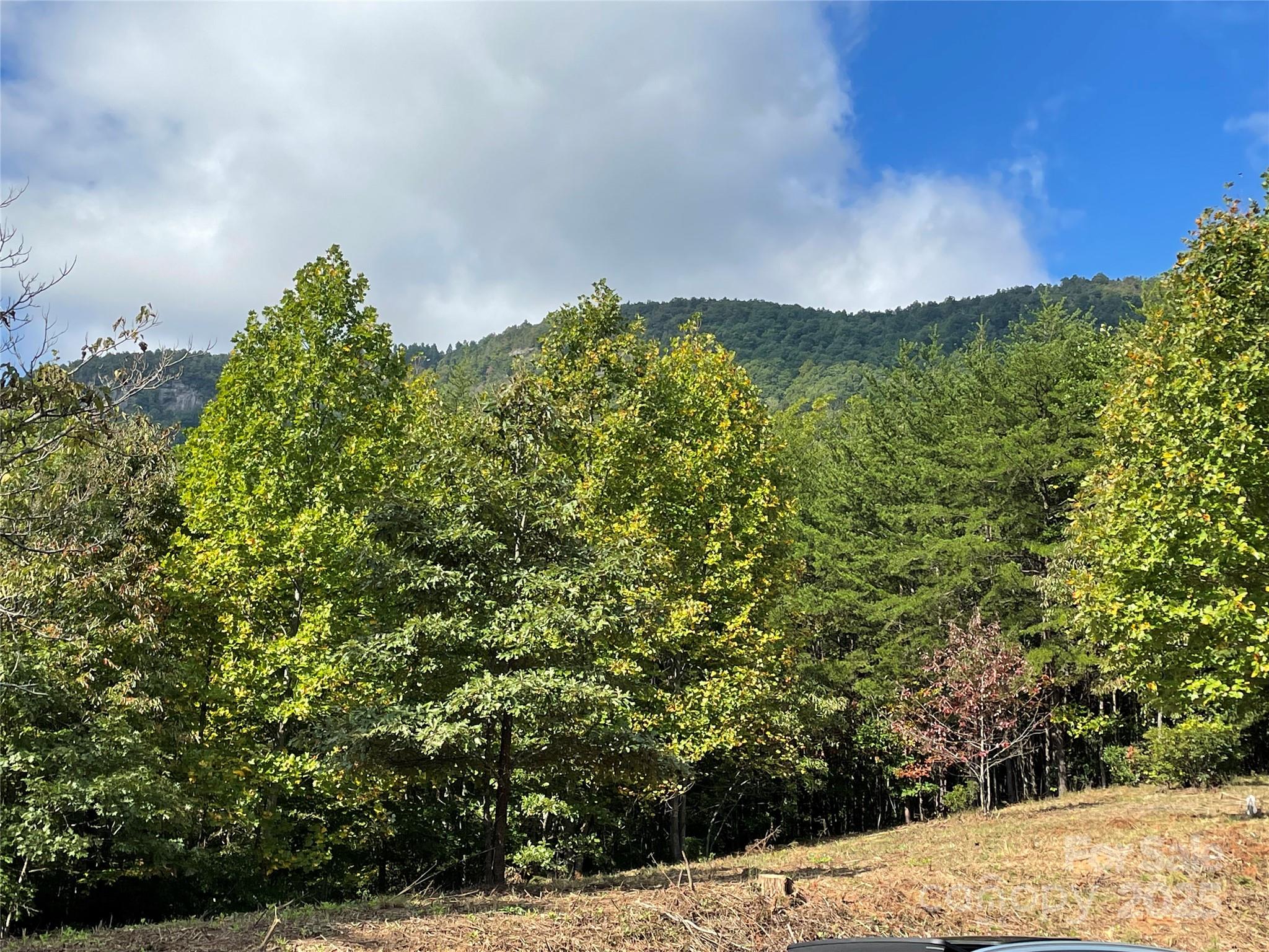 Brights Creek - Residential