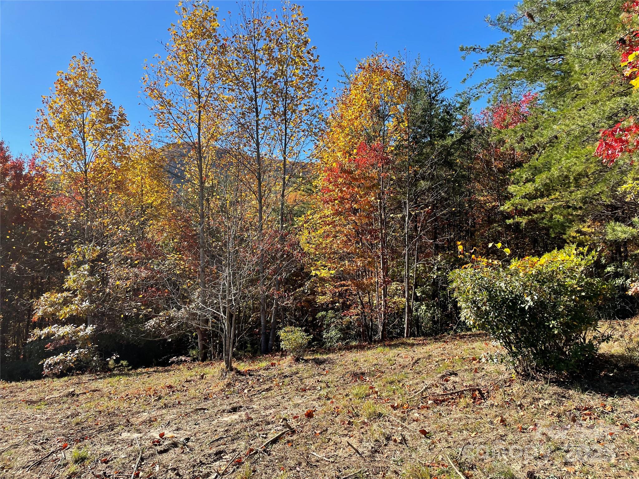 Brights Creek - Residential