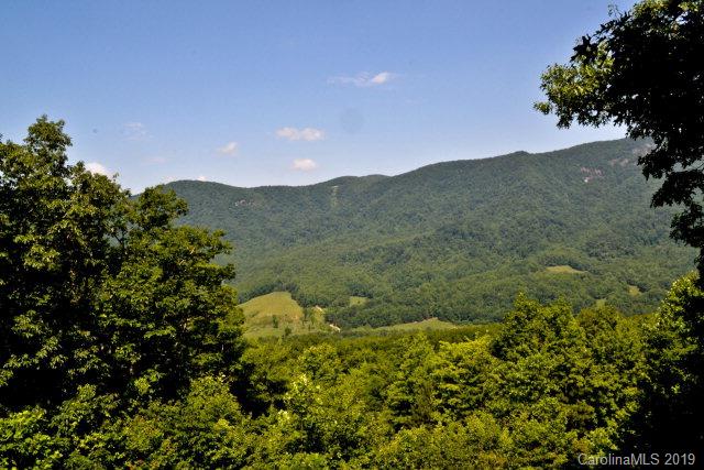 Linville Forest - Residential