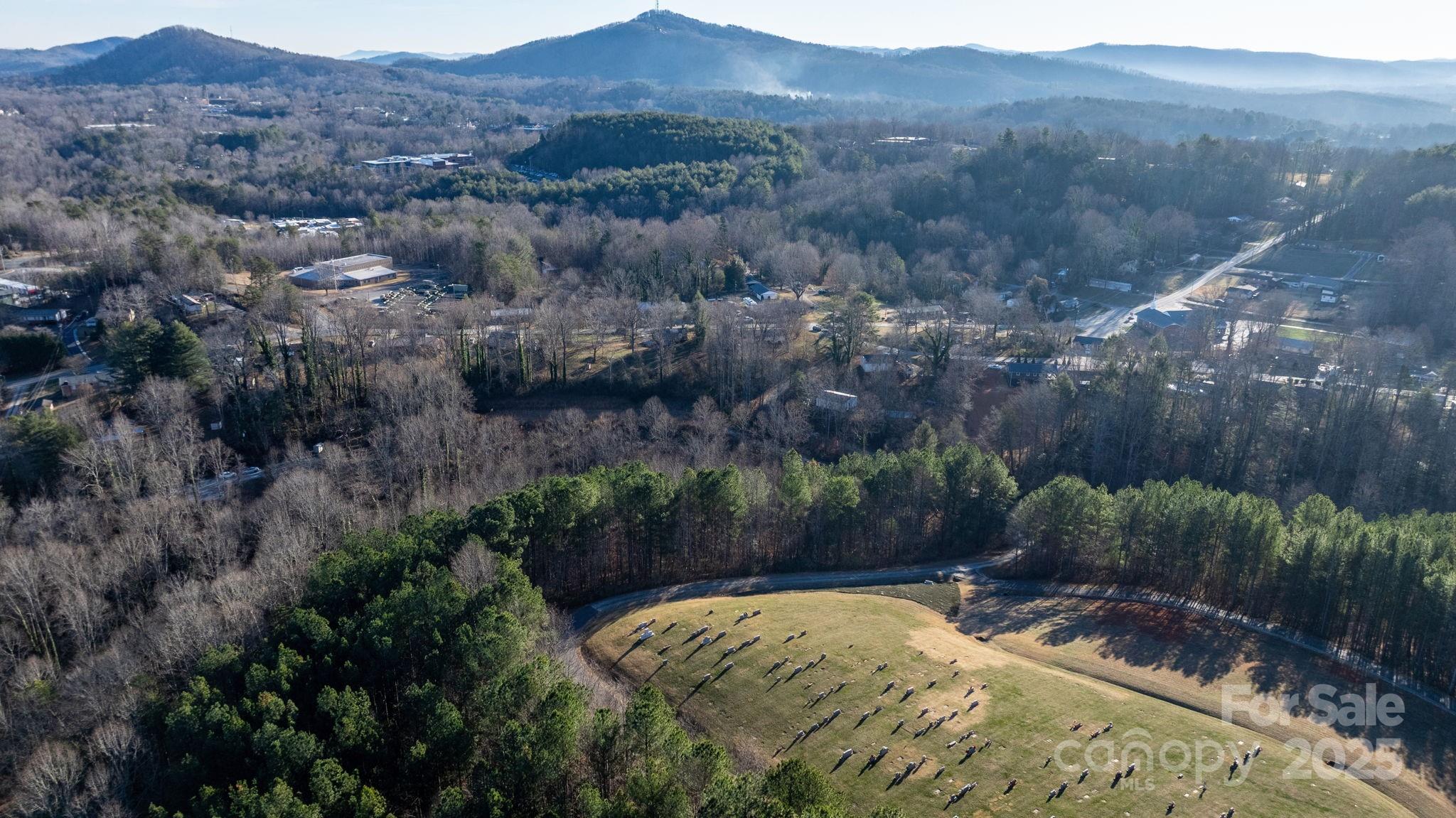 74 W Court Cemetery Road, Marion, NC, 28752 (Land For Sale ...