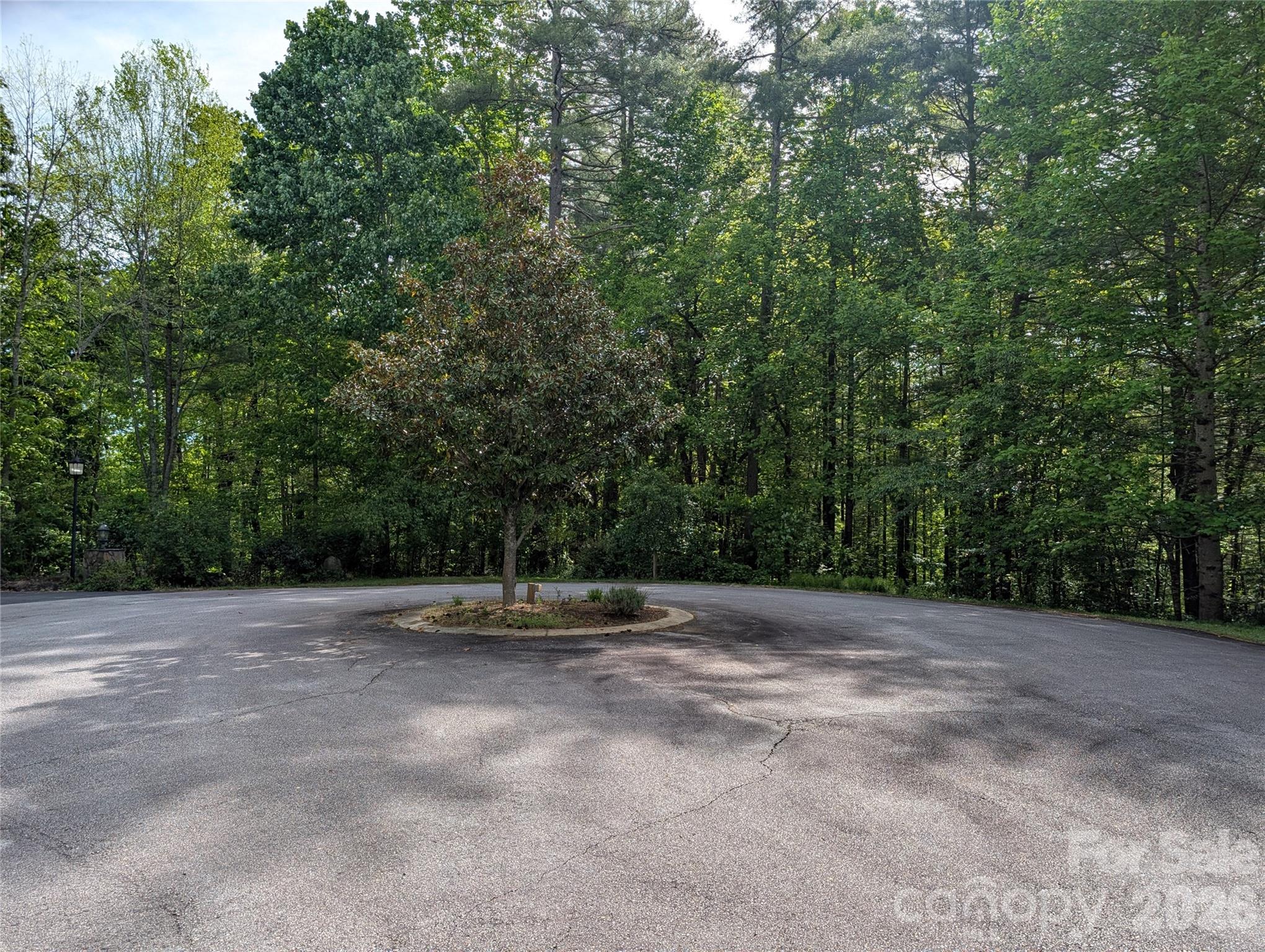 Rebeccas Pond - Land