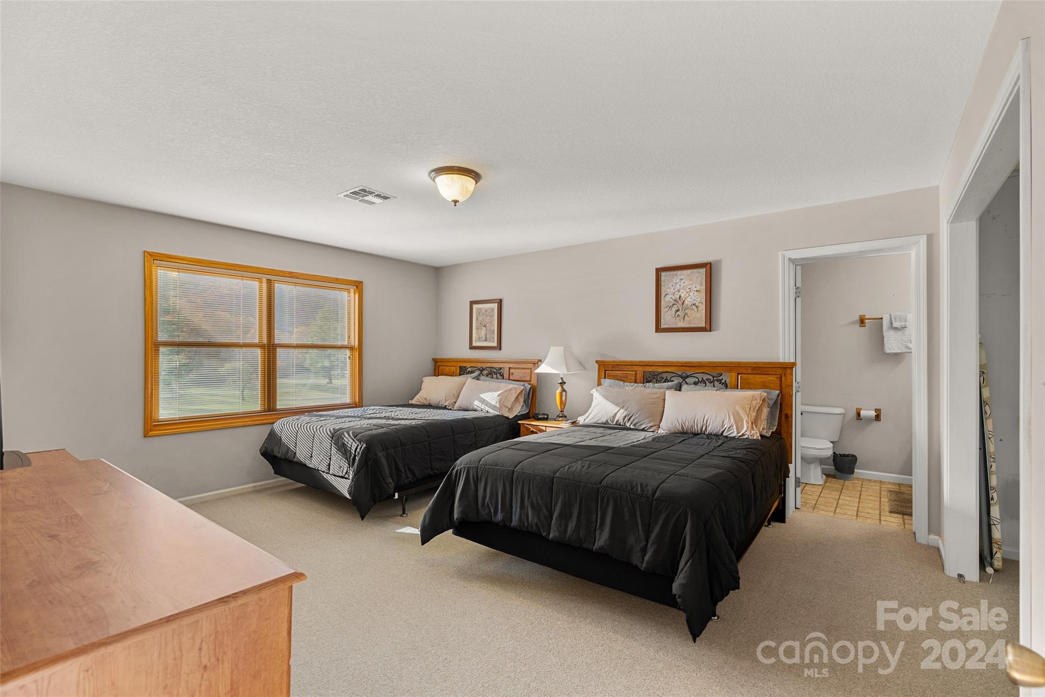 Mount Mitchell Lands - Residential