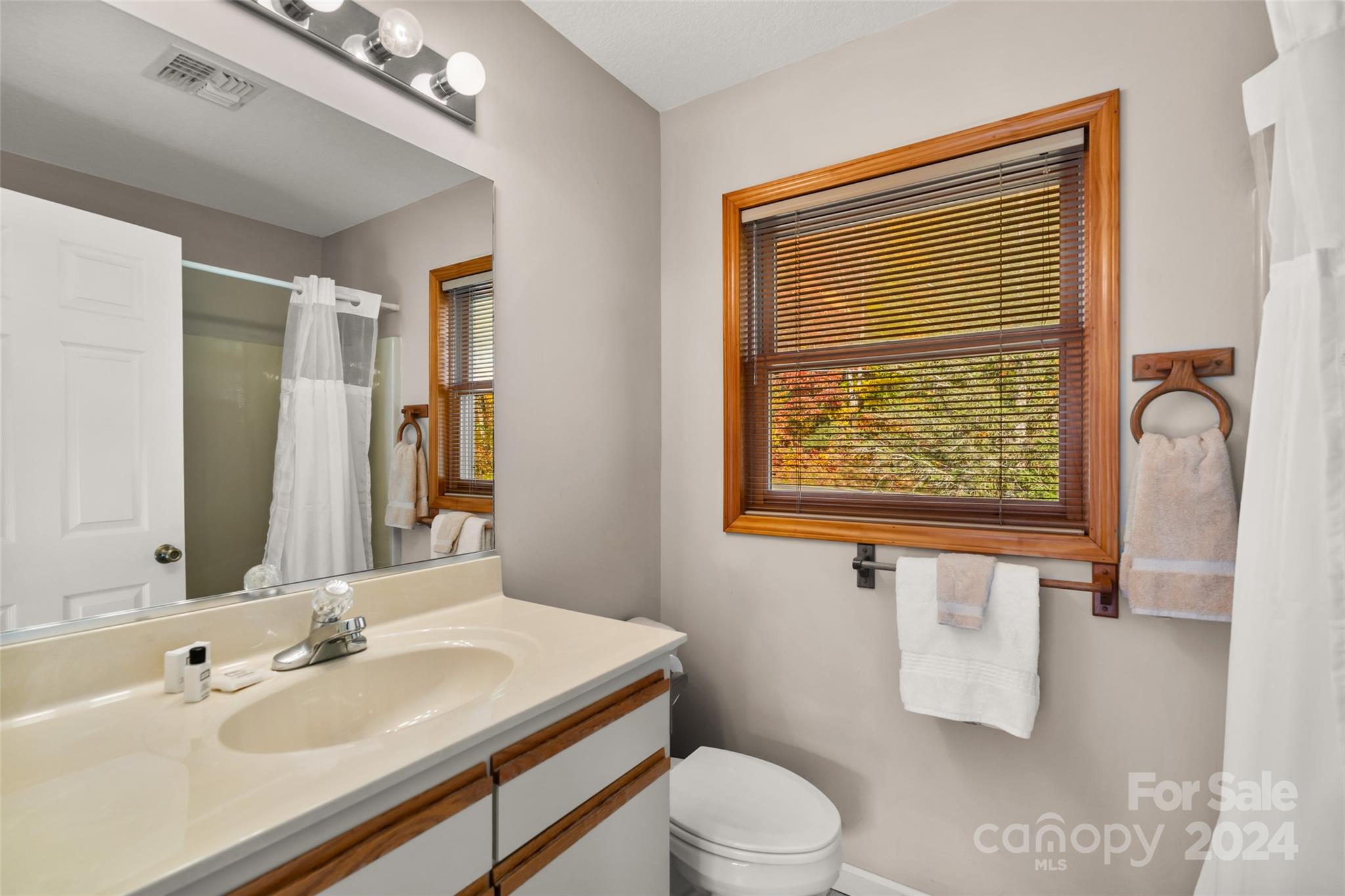 Mount Mitchell Lands - Residential