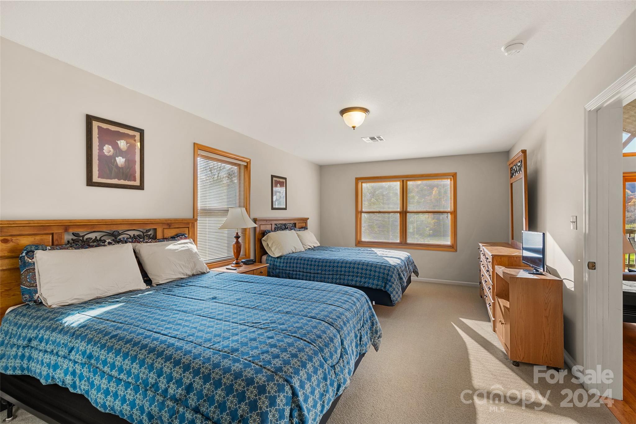 Mount Mitchell Lands - Residential