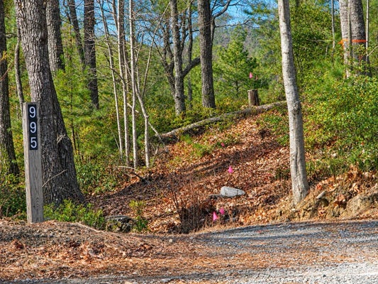 1166 DEER CROSSING LANE # 43, FERGUSON, NC 28624 - Image f83bc96ca977075d0bef96bf5a3553bf/1995765427