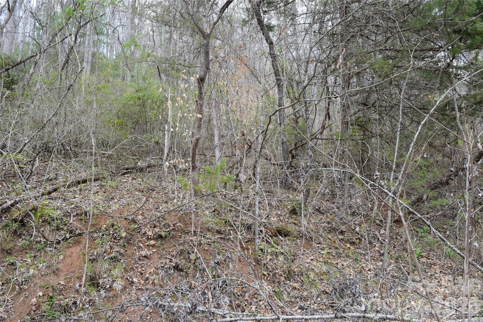 TBD Bel Air Road Unit 20, Cullowhee, NC, 28723
