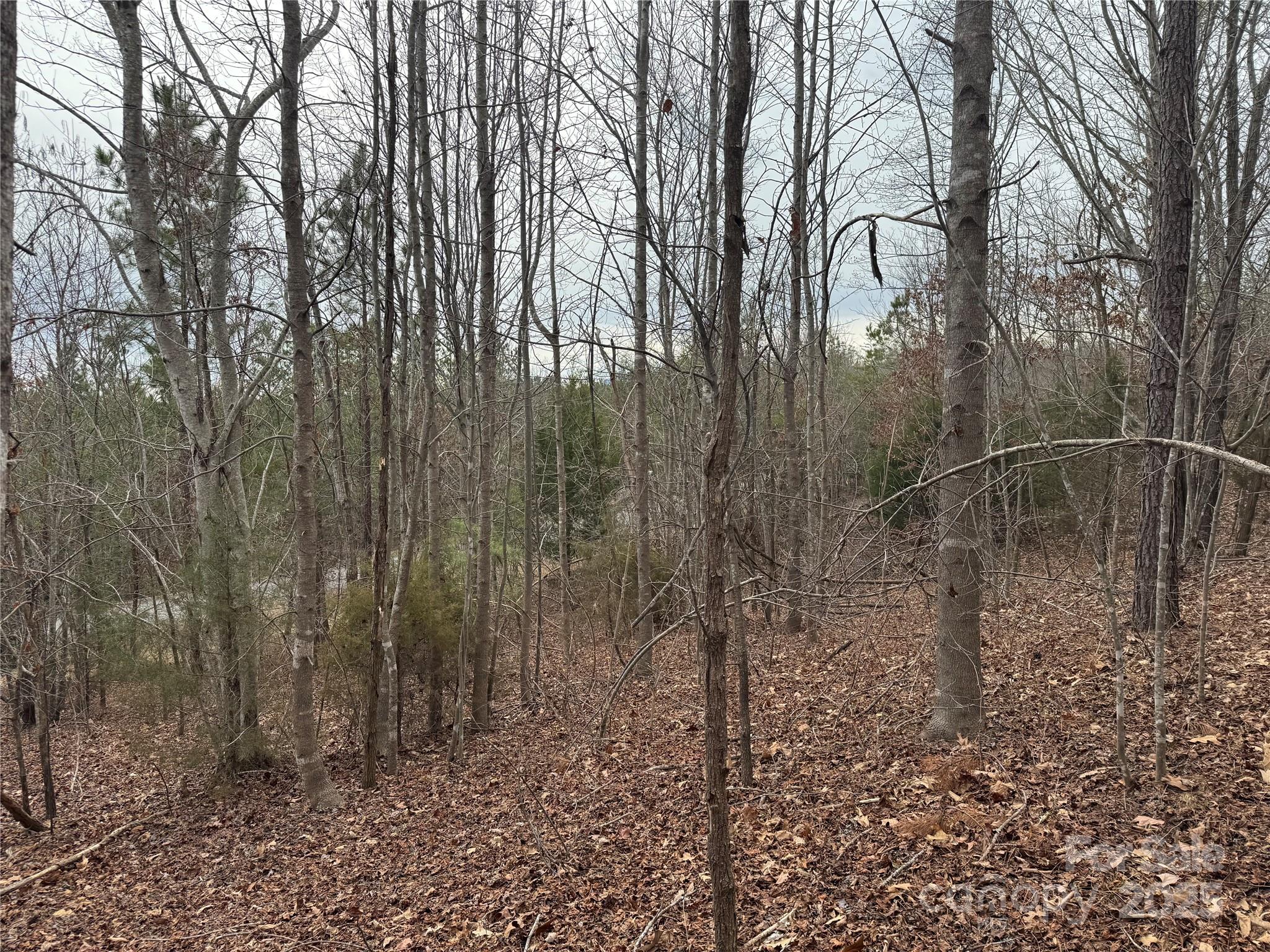 00 Stonecrest Parkway