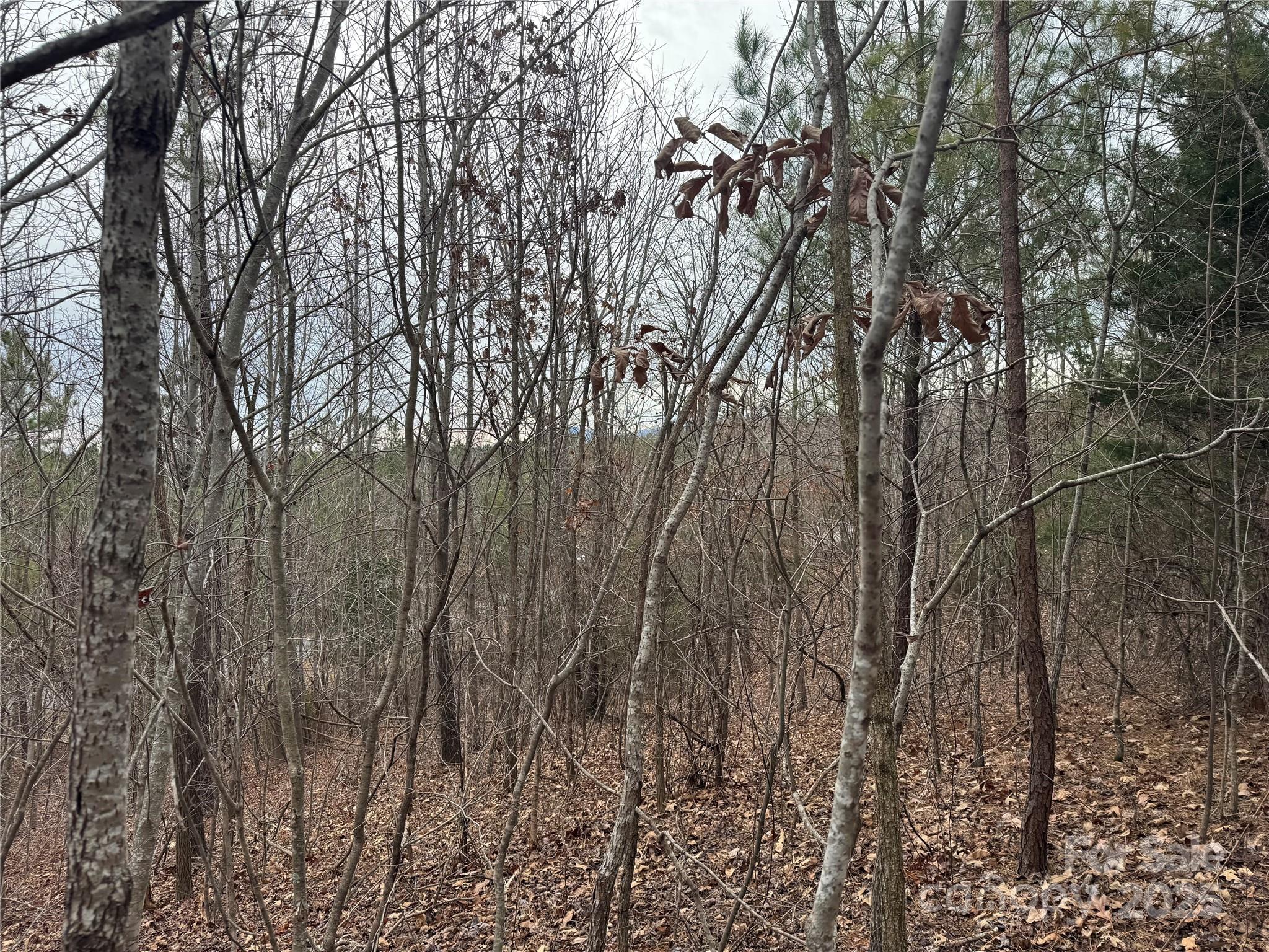 00 Stonecrest Parkway