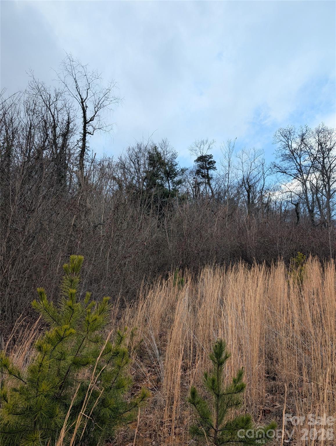 99999 Weaver Hill Road