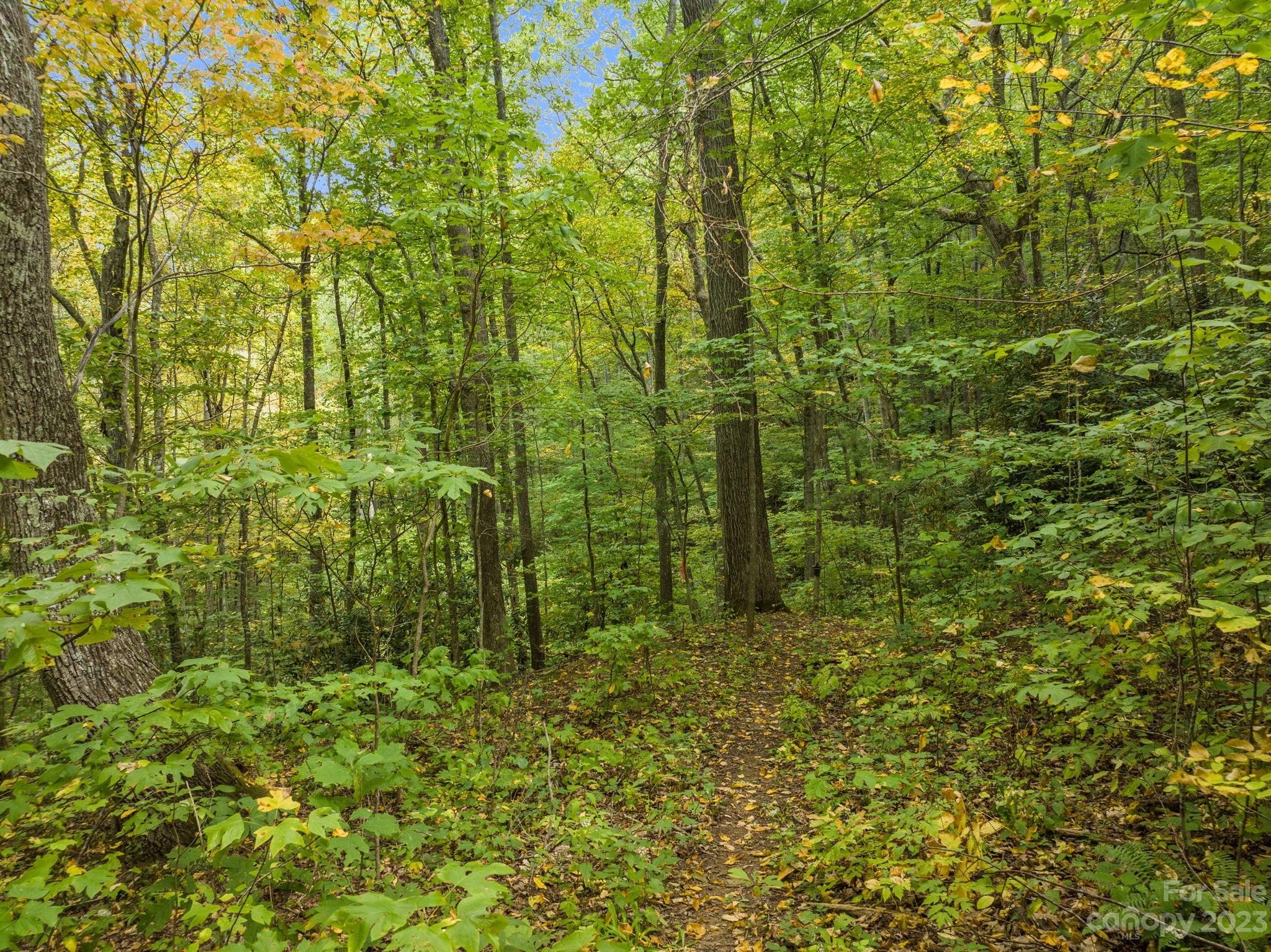 Shope Creek Estates - Land