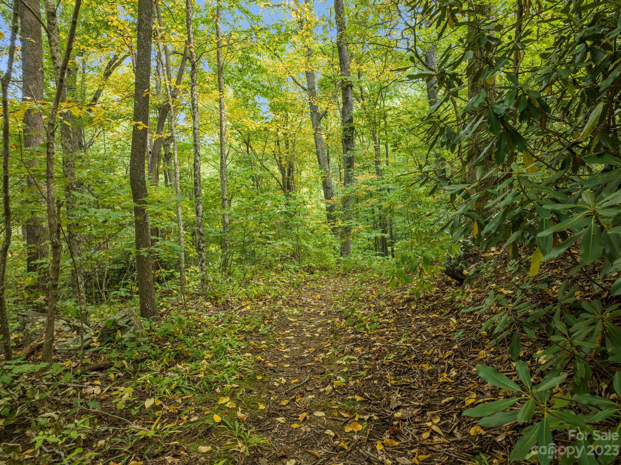 Shope Creek Estates - Land