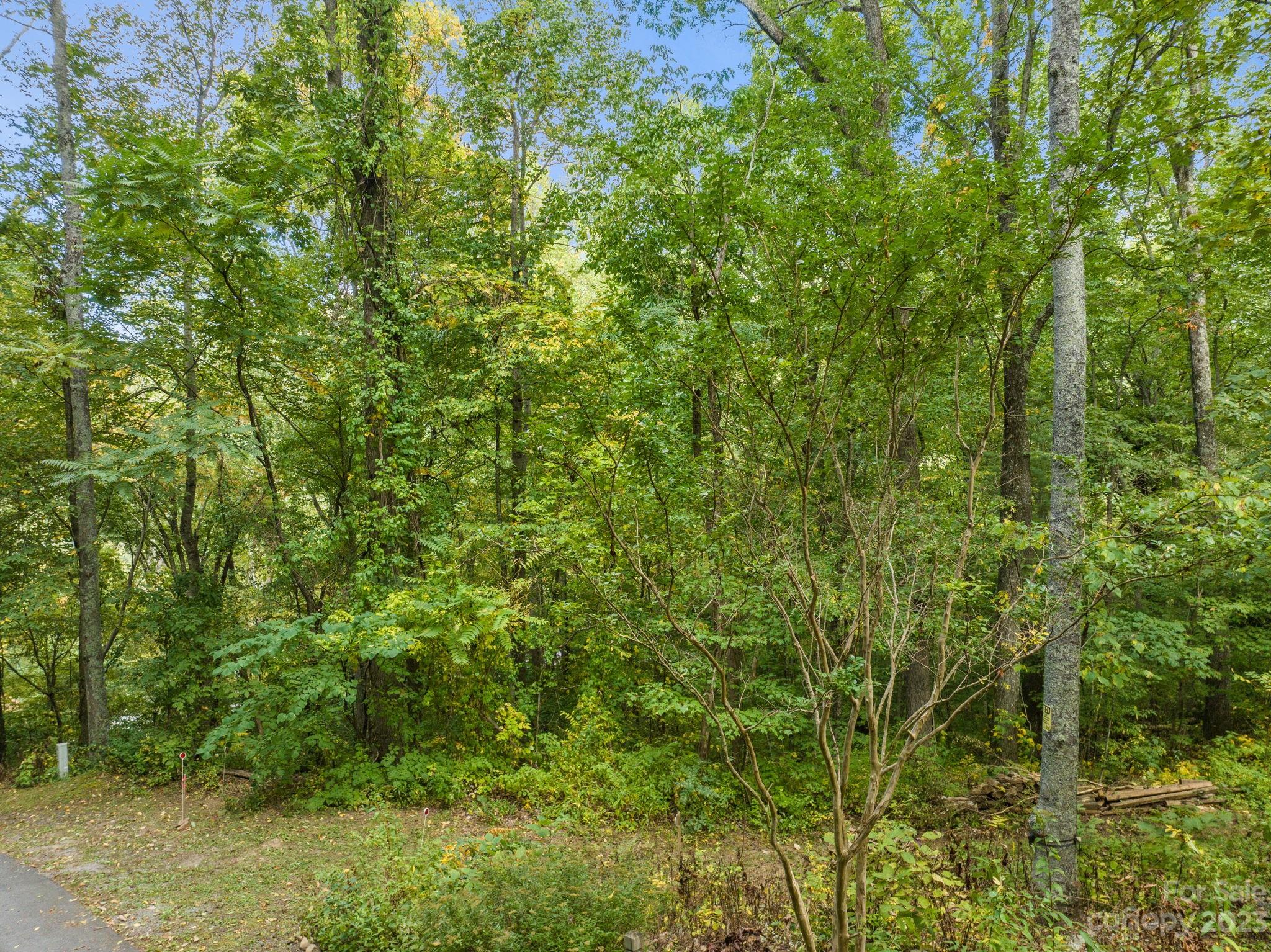 Shope Creek Estates - Land