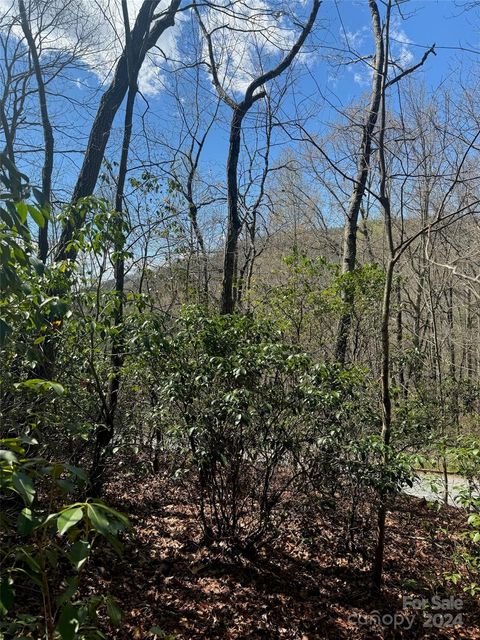23 Red Oak Drive Mills River NC 28759