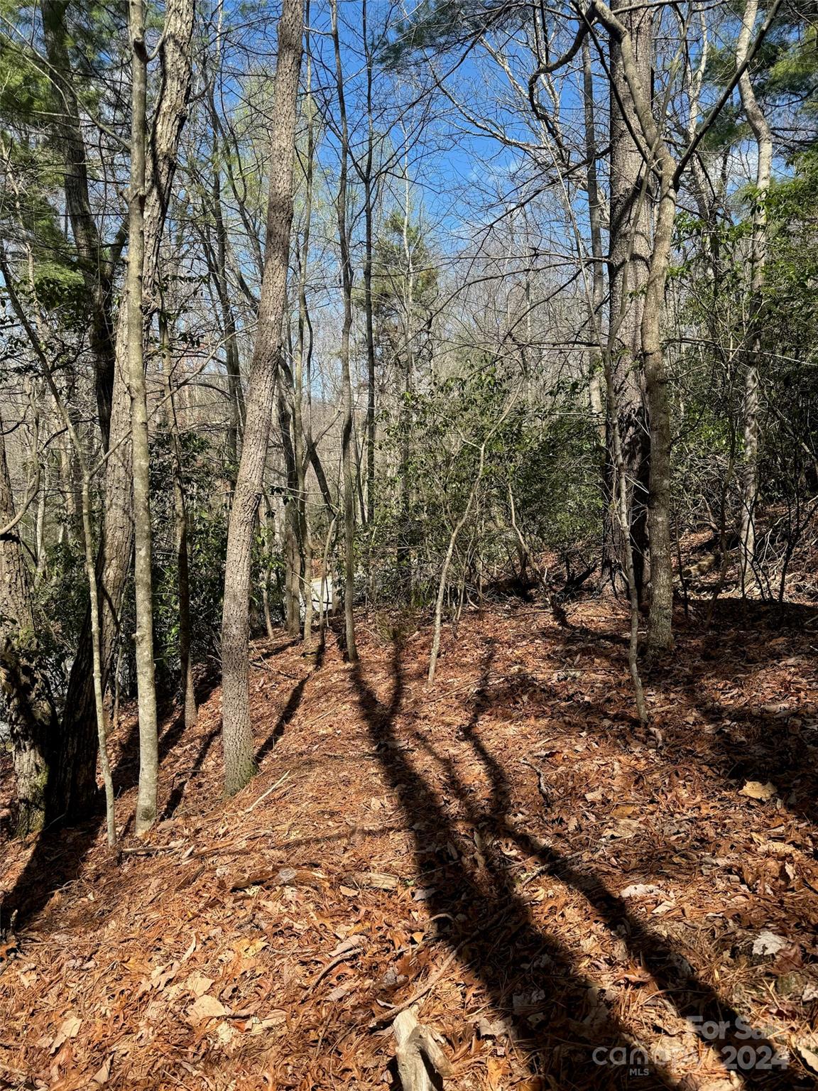 23 Red Oak Drive