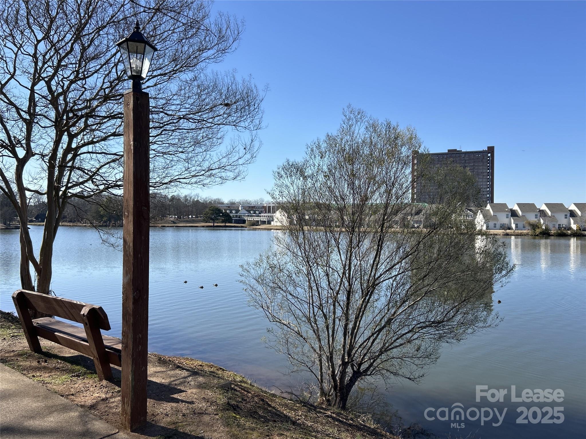 None - Residential Lease