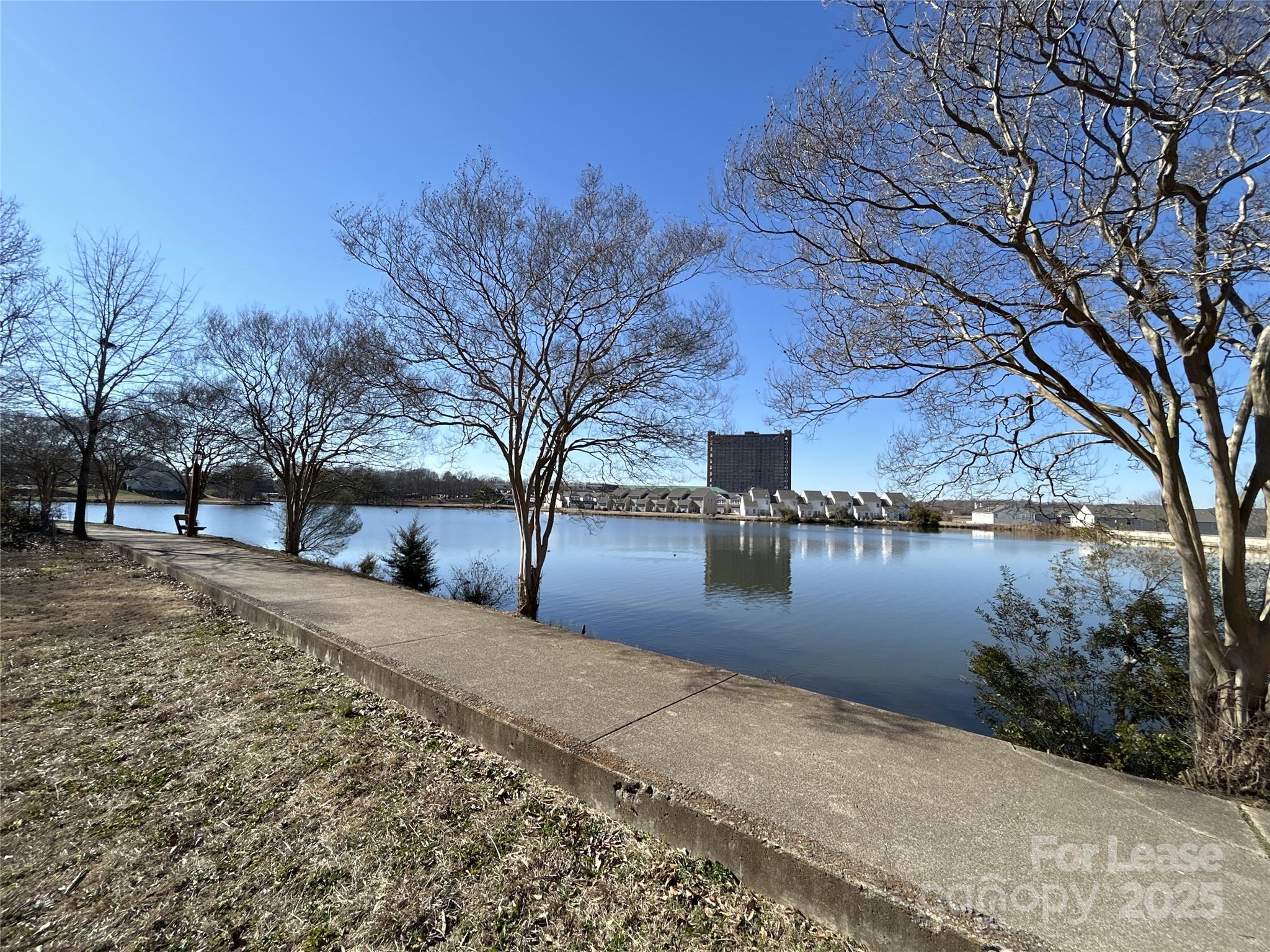 None - Residential Lease