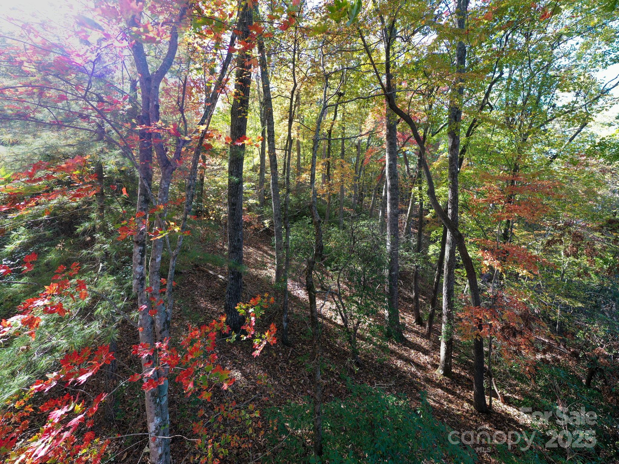 The Cliffs at Walnut Cove - Land