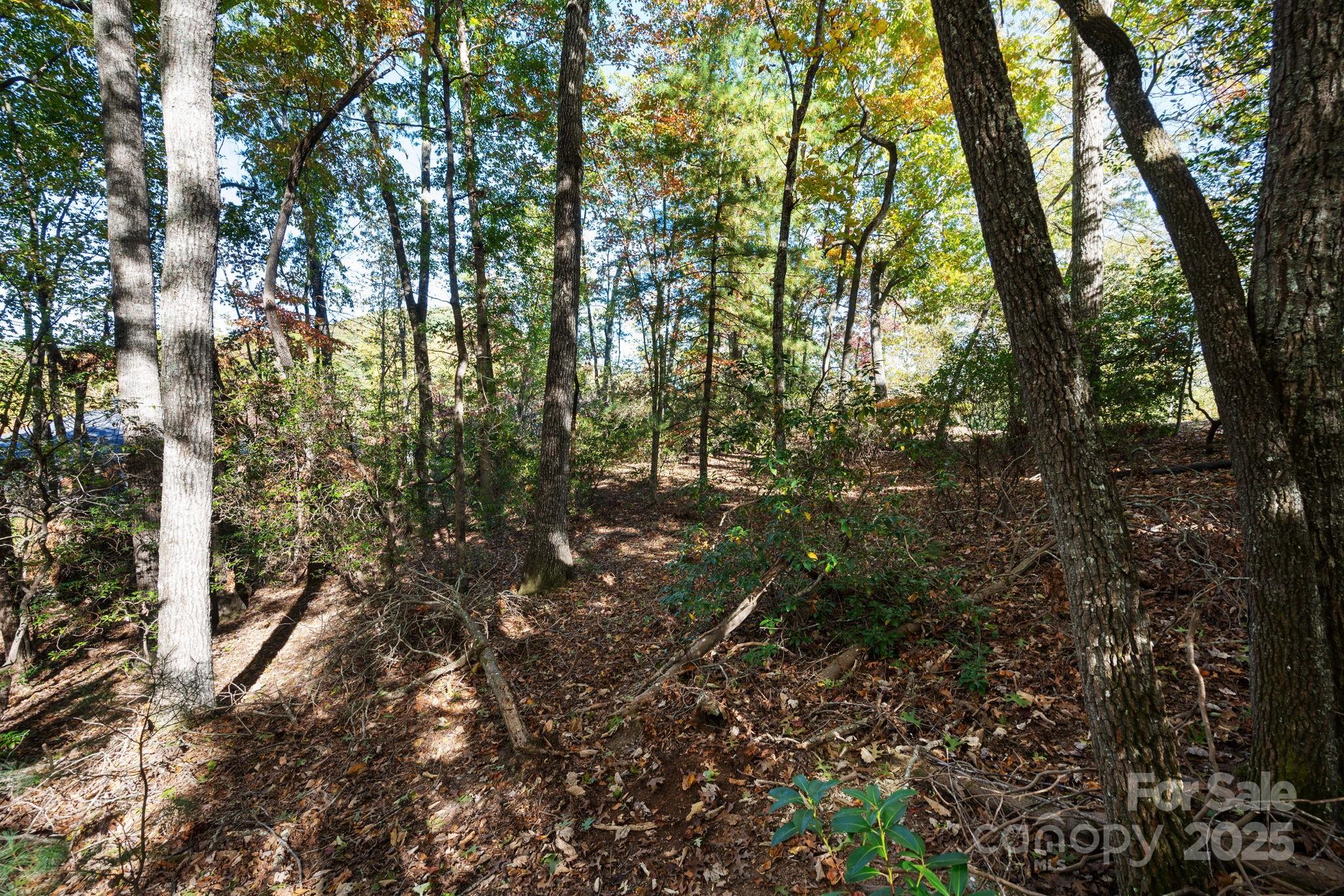 The Cliffs at Walnut Cove - Land