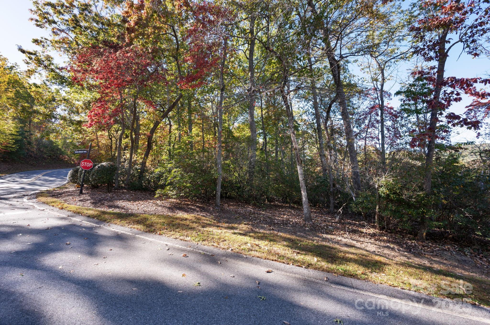 The Cliffs at Walnut Cove - Land