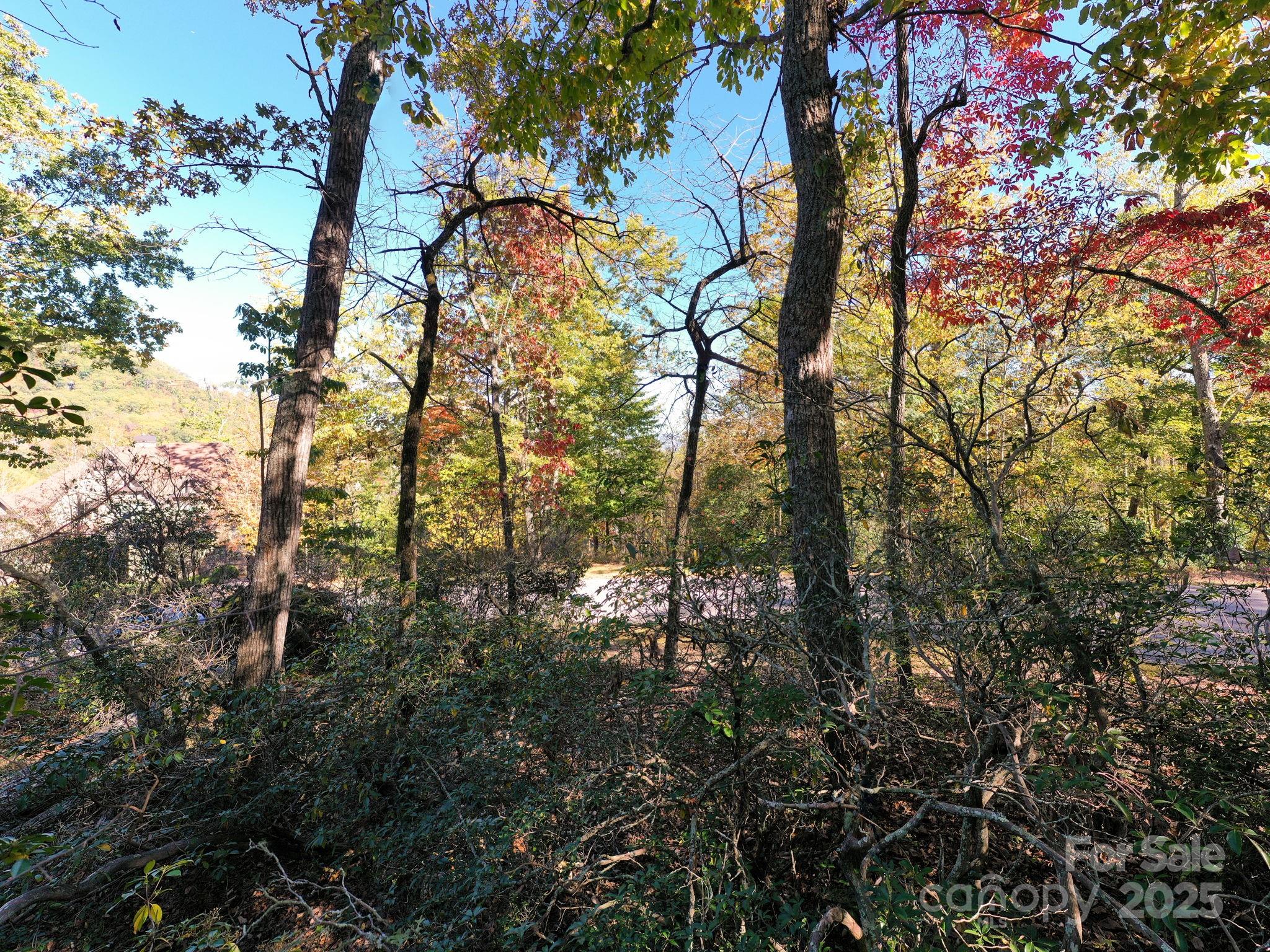 The Cliffs at Walnut Cove - Land