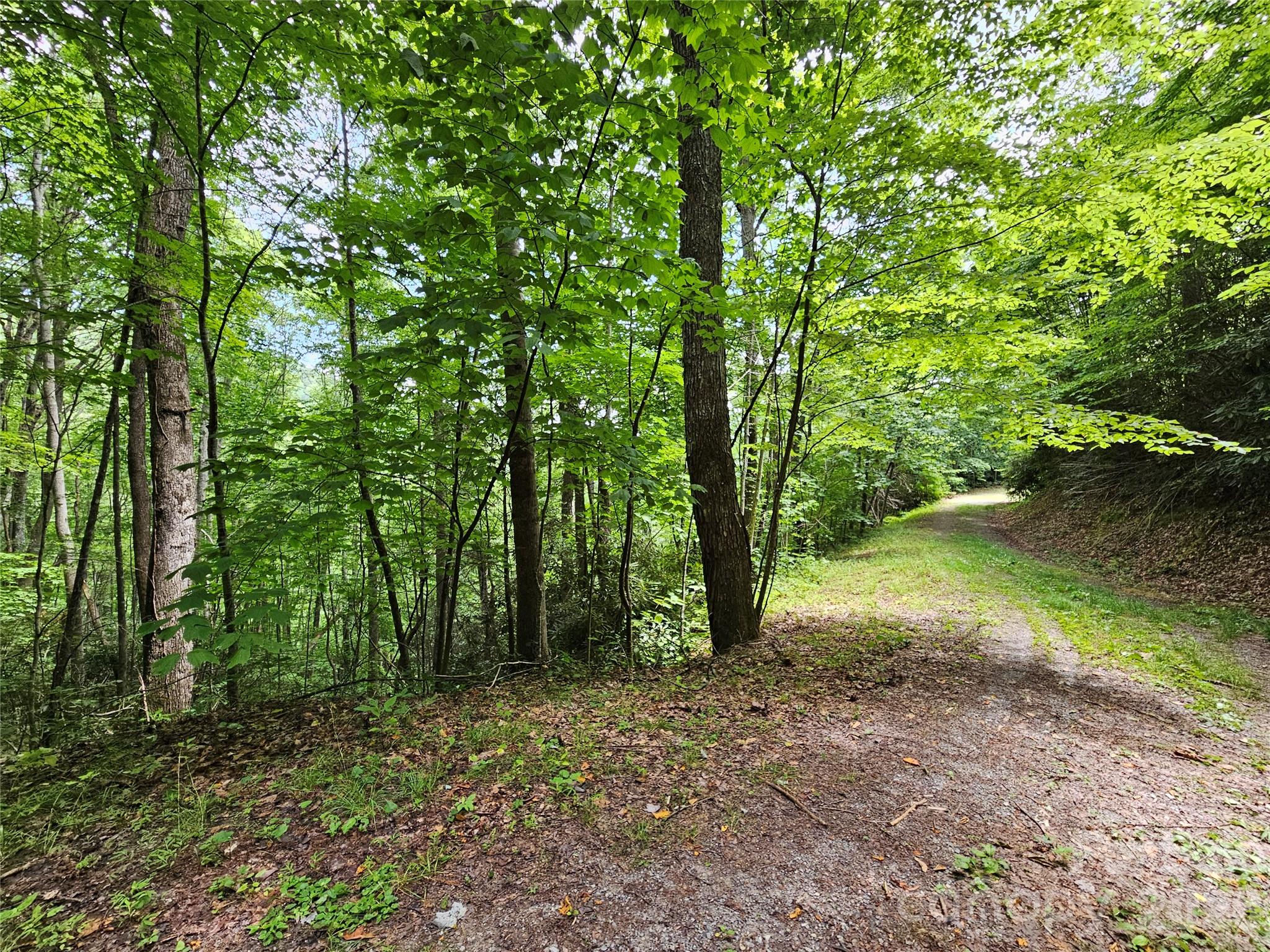 00 Autumn Drive Unit 2, Waynesville, NC, 28785