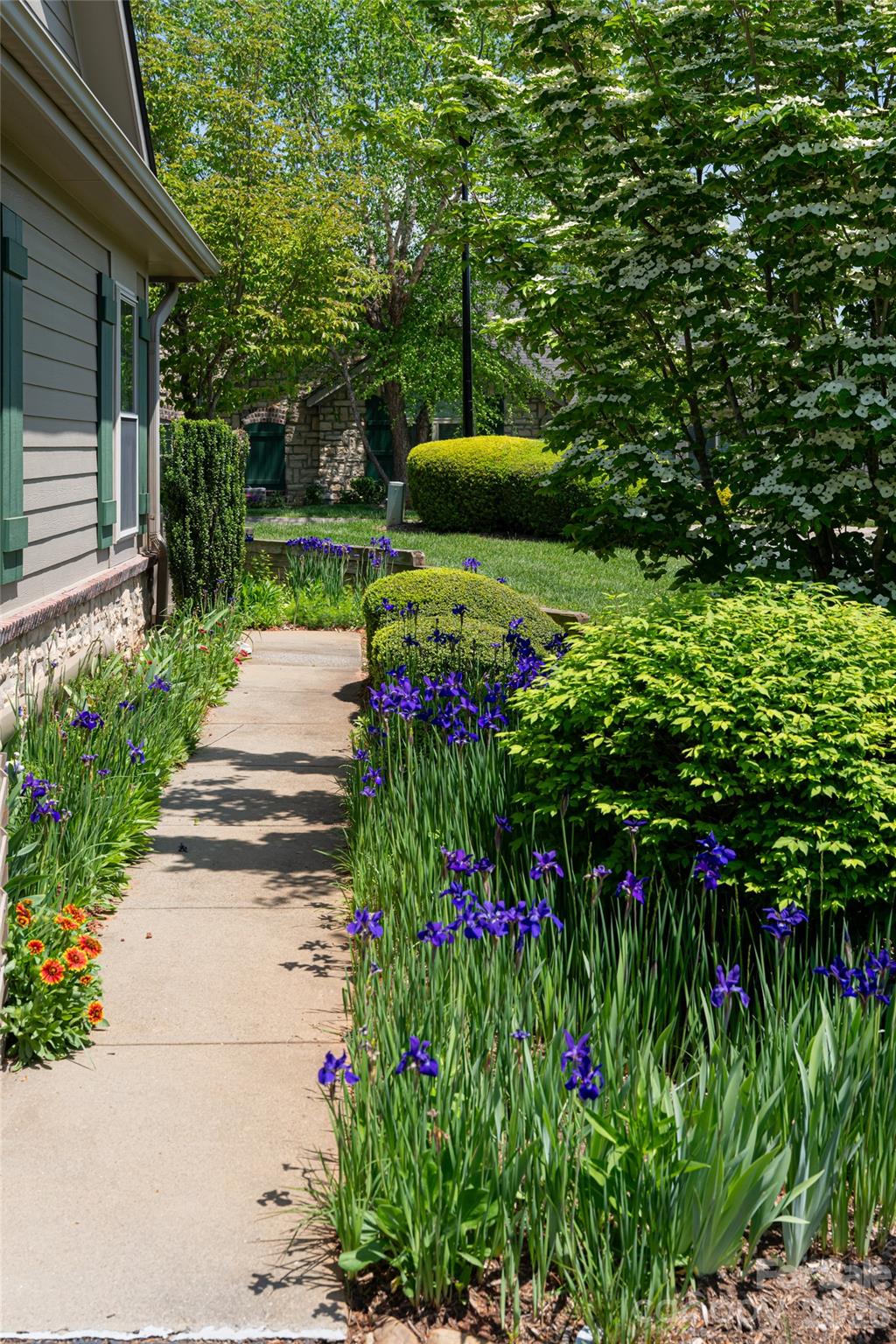 Craggy View Cottages - Residential